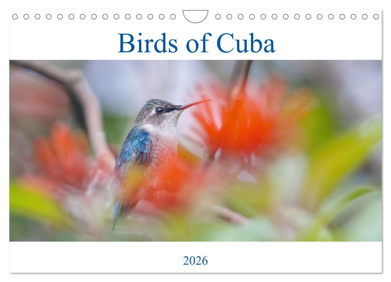 Birds of Cuba Island (Wall Calendar 2026 DIN A4 landscape), CALVENDO 12 Month Wall Calendar: Colorfoul birds of Cuba Island Natural Sciences