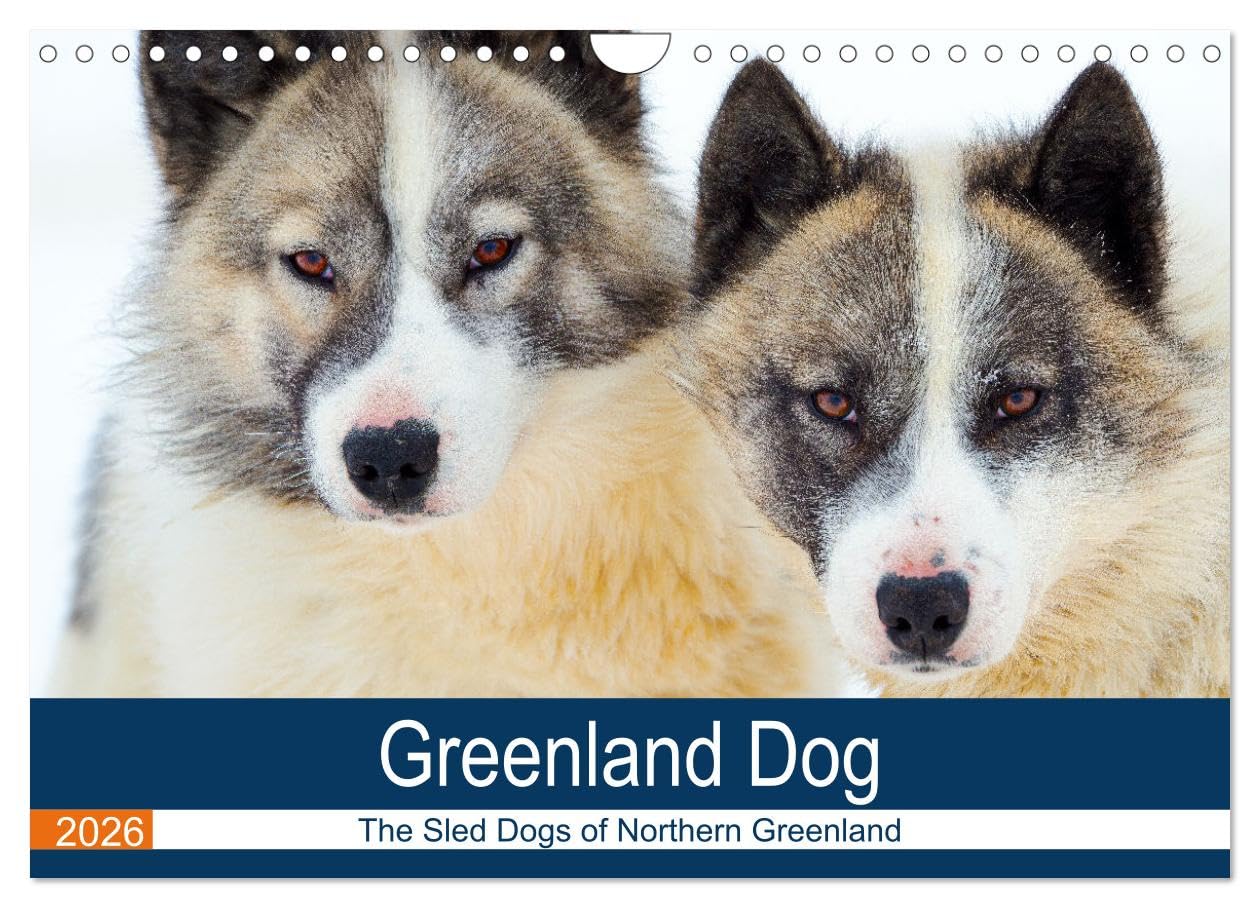 Greenland Dog - The Sled Dogs of Northern Greenland (Wall Calendar 2026 DIN A4 landscape), CALVENDO 12 Month Wall Calendar: A portrait of an arctic dog race Natural Sciences