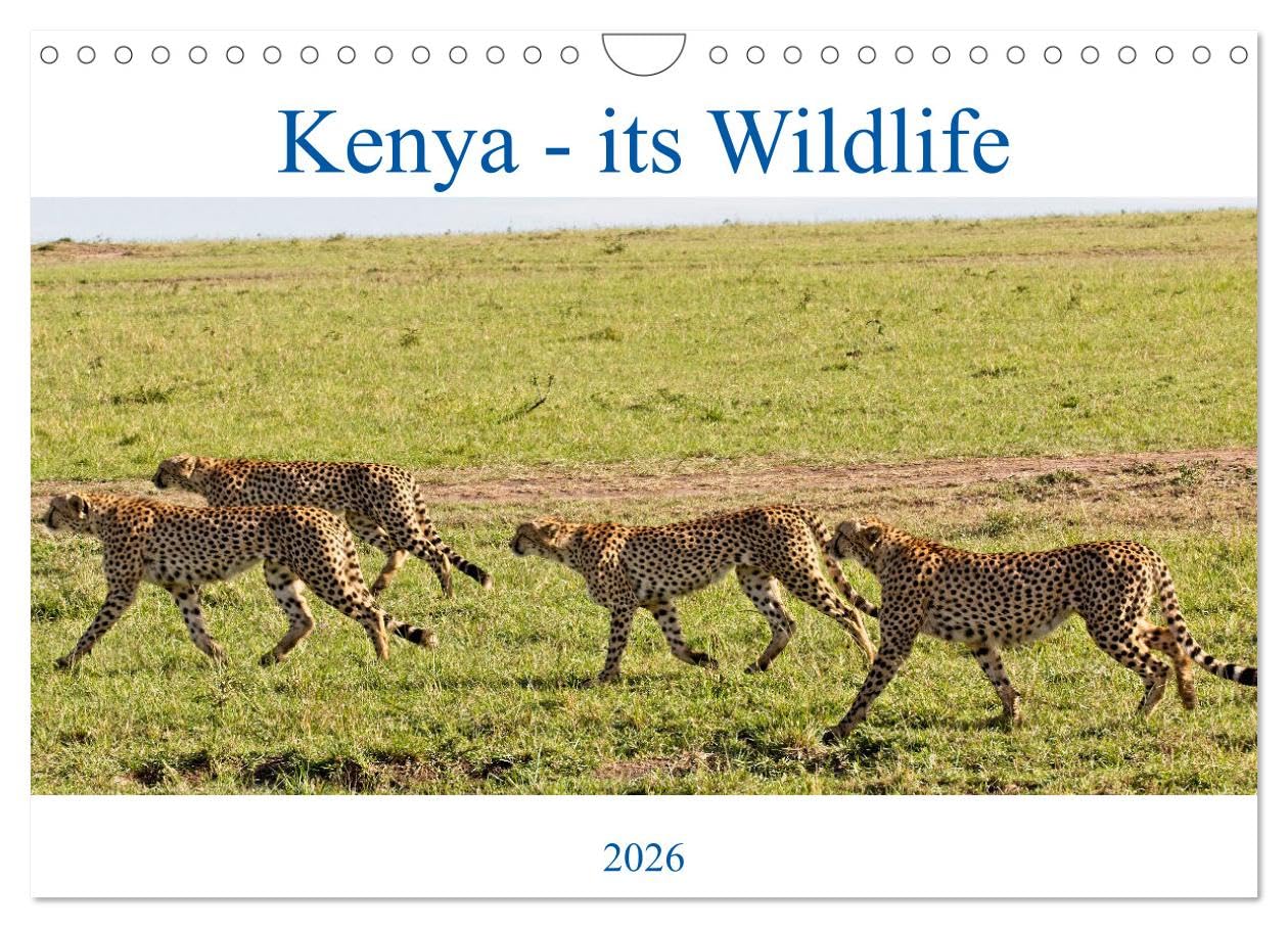 Kenya - its Wildlife (Wall Calendar 2026 DIN A4 landscape), CALVENDO 12 Month Wall Calendar: Kenya's exotic wild animals and birds Natural Sciences