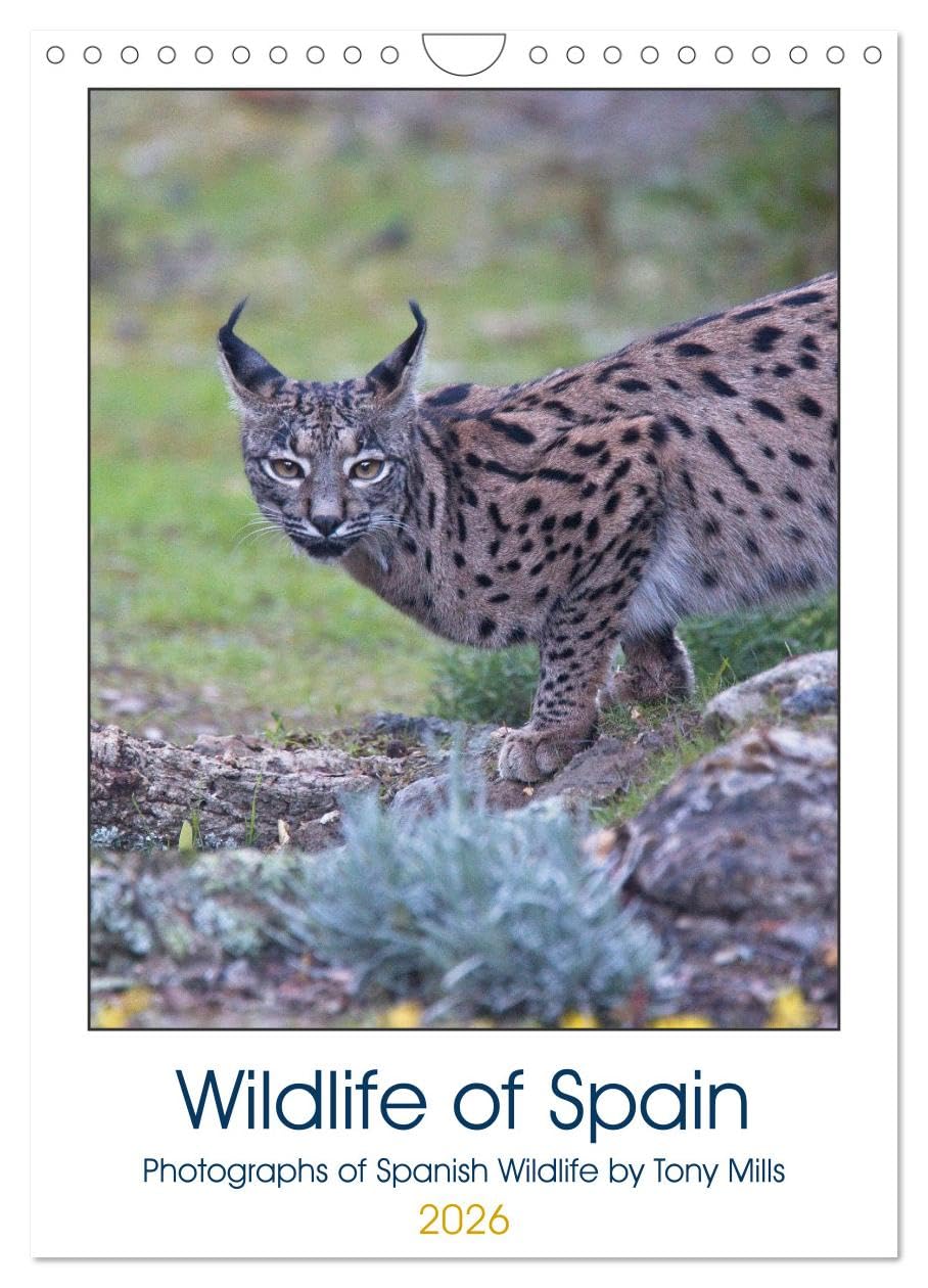 Wildlife of Spain (Wall Calendar 2026 DIN A4 portrait), CALVENDO 12 Month Wall Calendar: Beautiful photographs of rare Spanish Wildlife. Natural Sciences