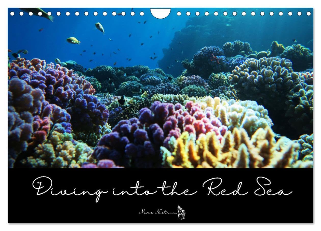 Diving into the Red Sea (Wall Calendar 2026 DIN A4 landscape), CALVENDO 12 Month Wall Calendar: Dive into the colorful underwater world of the Red Sea ... facts about this fascinating ecosytem Business & Technology