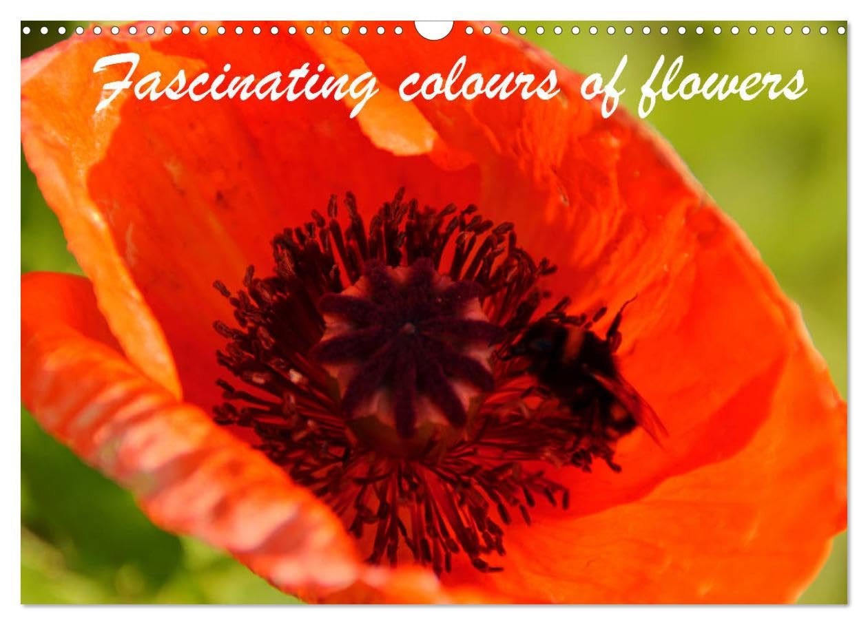 Fascinating colours of flowers (Wall Calendar 2026 DIN A3 landscape), CALVENDO 12 Month Wall Calendar: Expressive photos of flowers and blossoms Film, Art & Culture