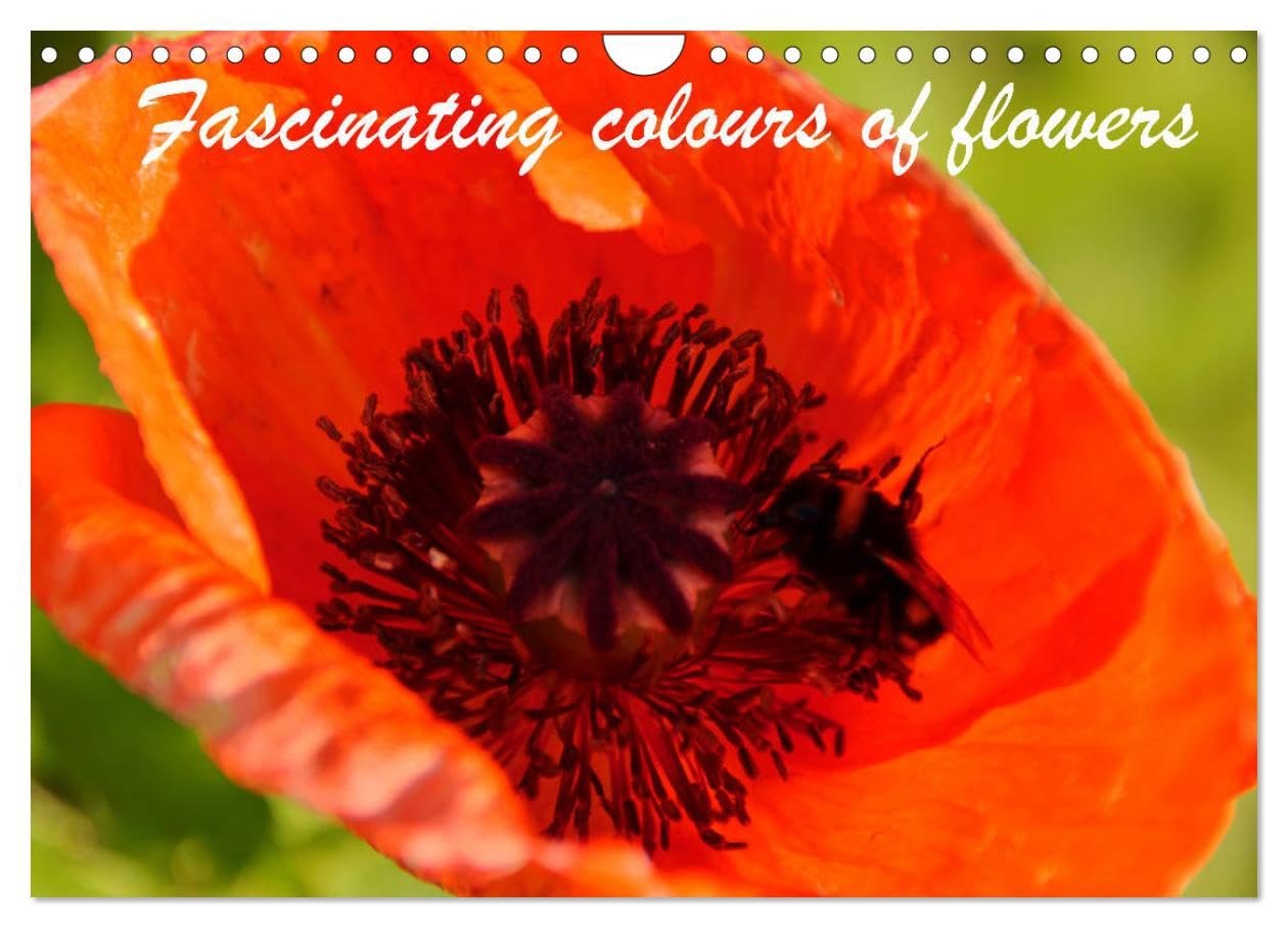 Fascinating colours of flowers (Wall Calendar 2026 DIN A4 landscape), CALVENDO 12 Month Wall Calendar: Expressive photos of flowers and blossoms Film, Art & Culture