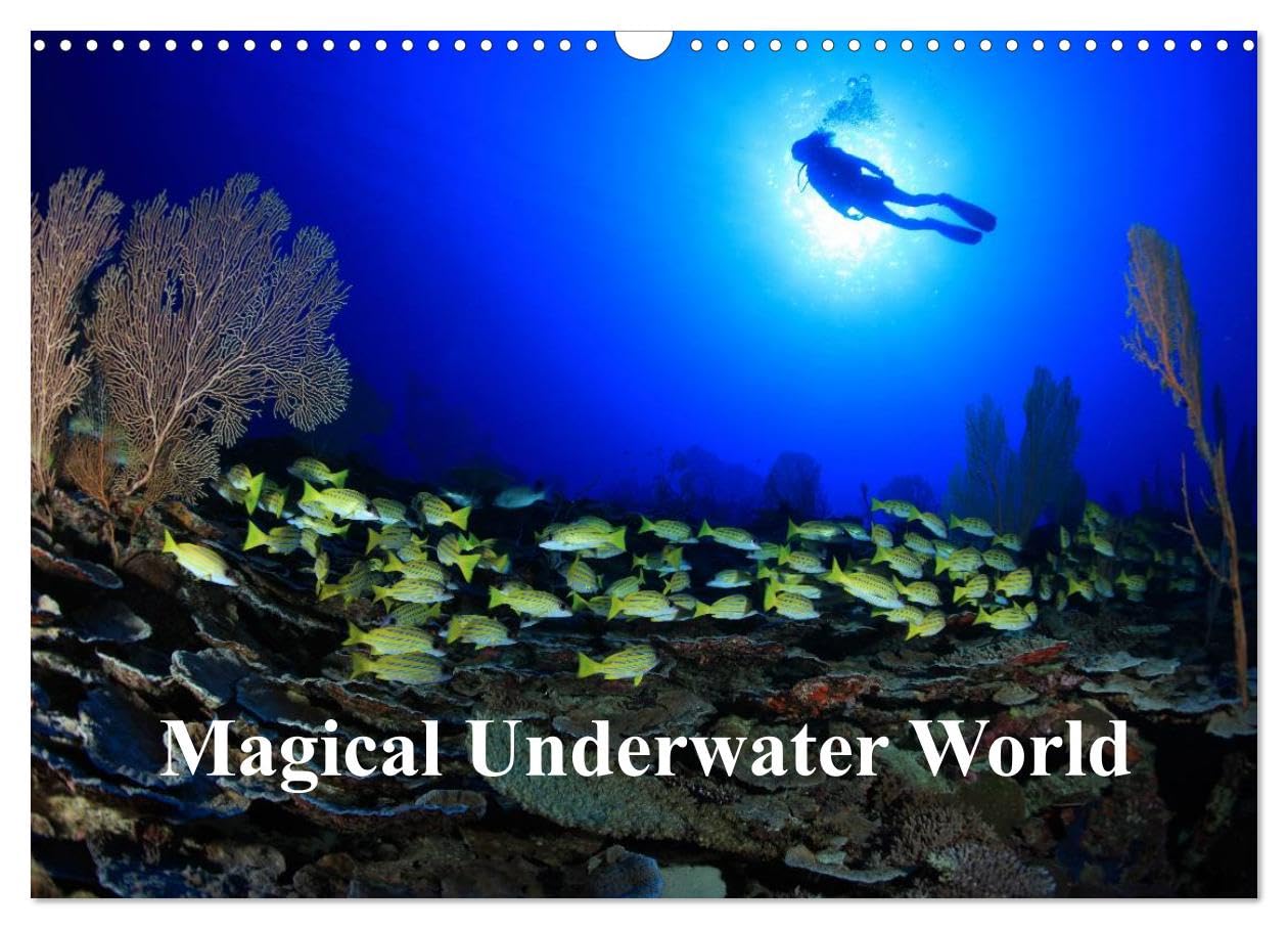 Magical Underwater World (Wall Calendar 2026 DIN A3 landscape), CALVENDO 12 Month Wall Calendar: Underwater photography from tropical seas Natural Sciences