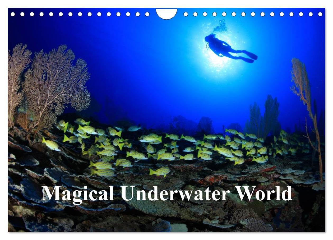 Magical Underwater World (Wall Calendar 2026 DIN A4 landscape), CALVENDO 12 Month Wall Calendar: Underwater photography from tropical seas Natural Sciences