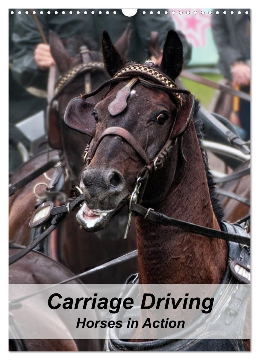Carriage Driving - Horses in Action (Wall Calendar 2026 DIN A3 portrait), CALVENDO 12 Month Wall Calendar: Active horses in training for carriage driving sport. Social Sciences