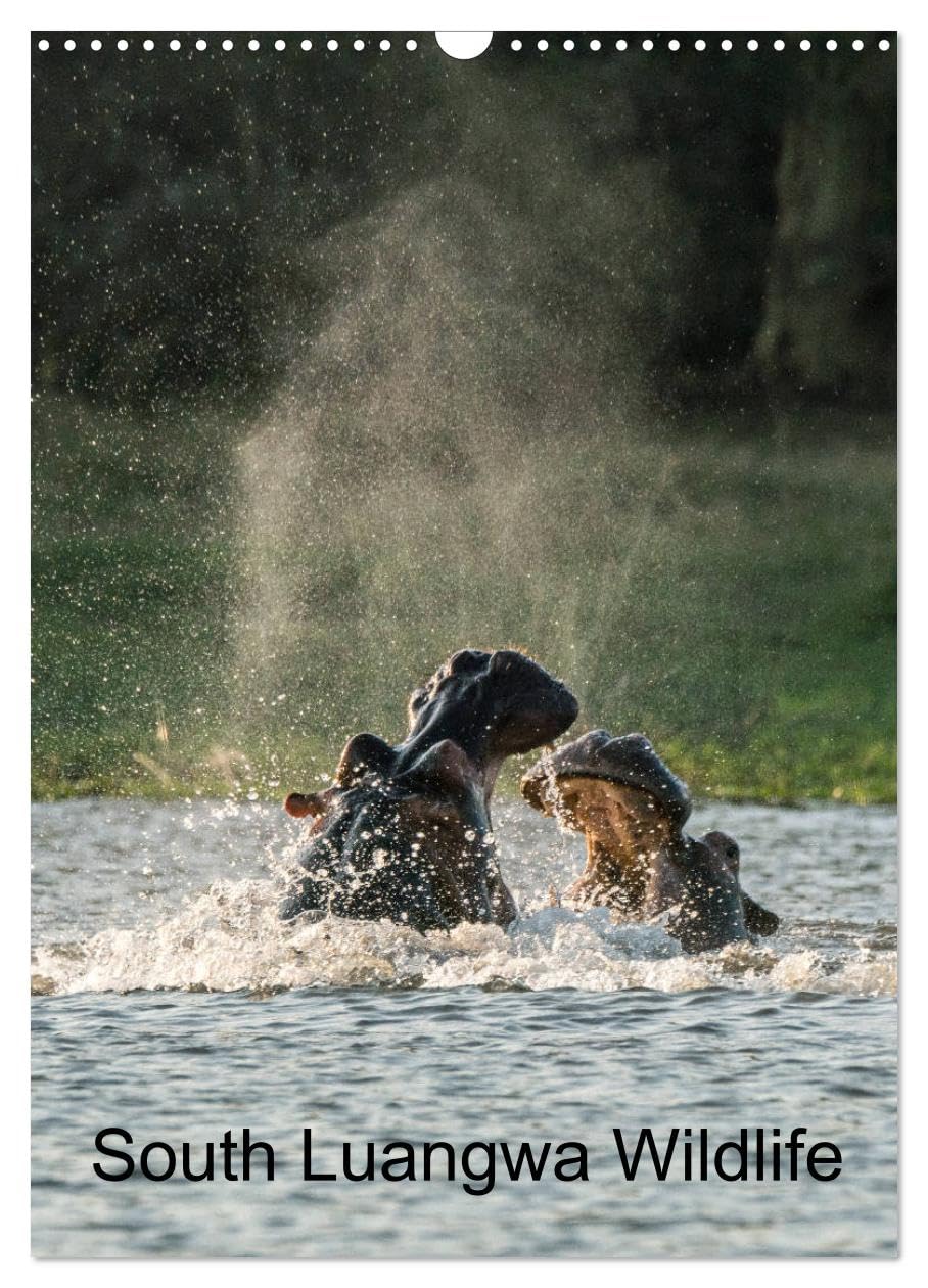 South Luangwa Wildlife (Wall Calendar 2026 DIN A3 portrait), CALVENDO 12 Month Wall Calendar: Wild animals in the South Luangwa National Park Natural Sciences