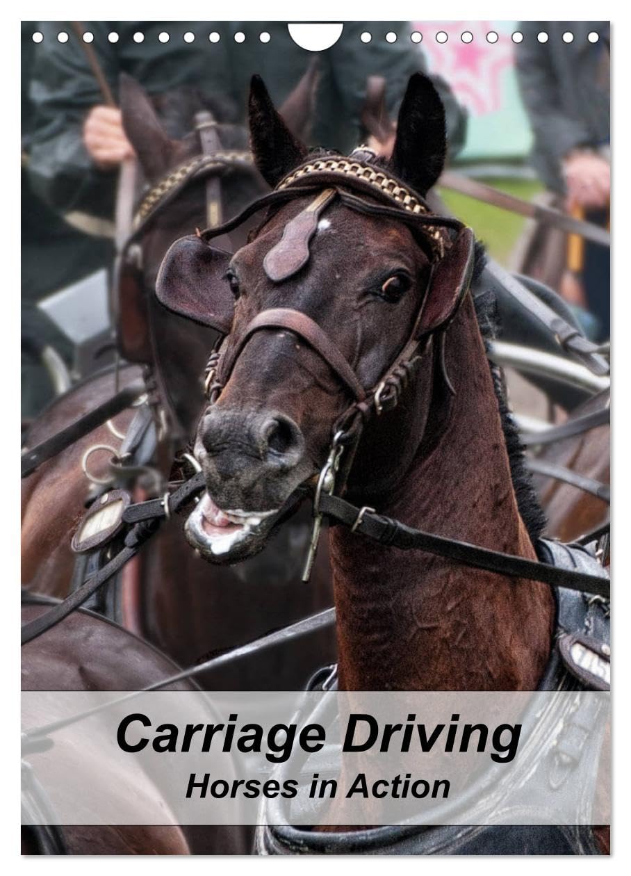 Carriage Driving - Horses in Action (Wall Calendar 2026 DIN A4 portrait), CALVENDO 12 Month Wall Calendar: Active horses in training for carriage driving sport. Social Sciences