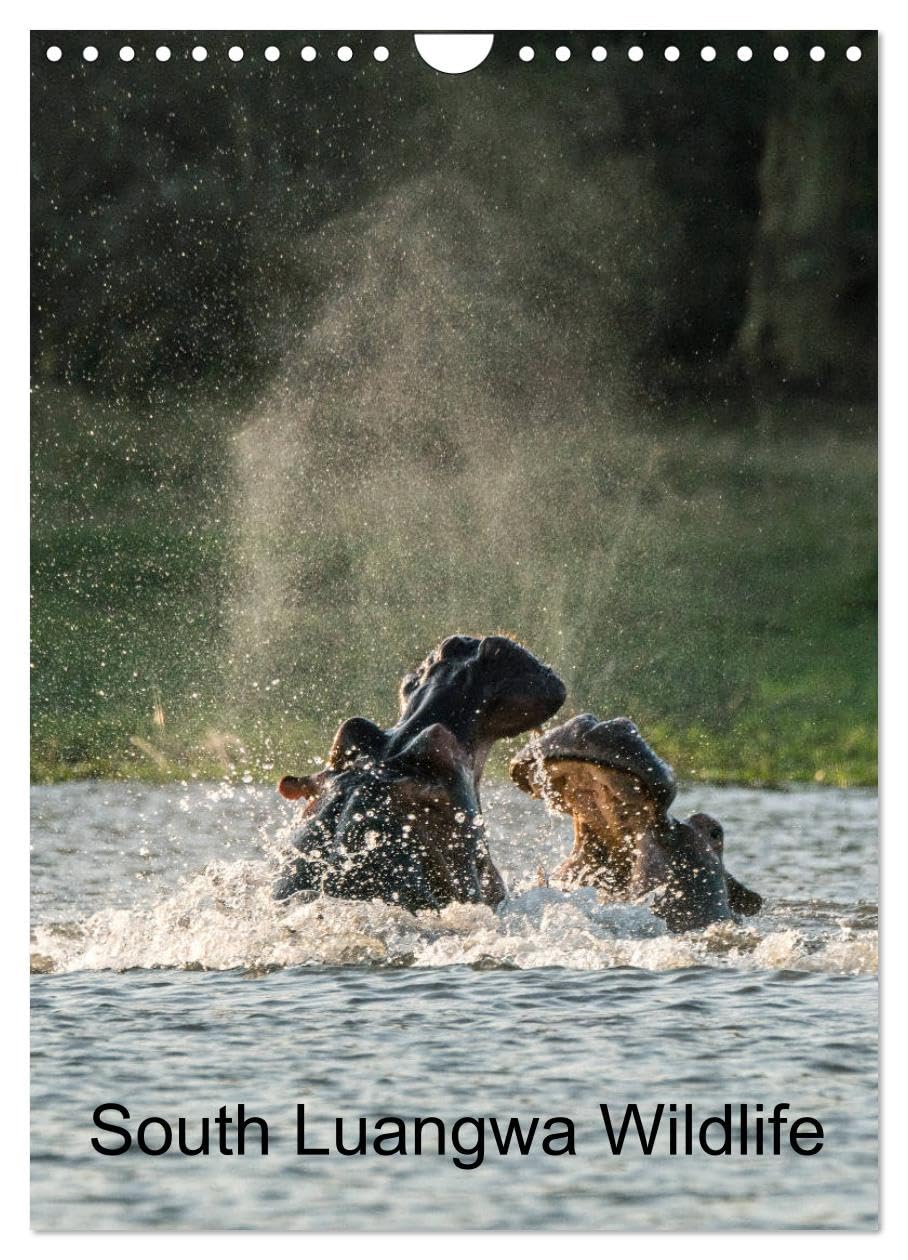 South Luangwa Wildlife (Wall Calendar 2026 DIN A4 portrait), CALVENDO 12 Month Wall Calendar: Wild animals in the South Luangwa National Park Natural Sciences