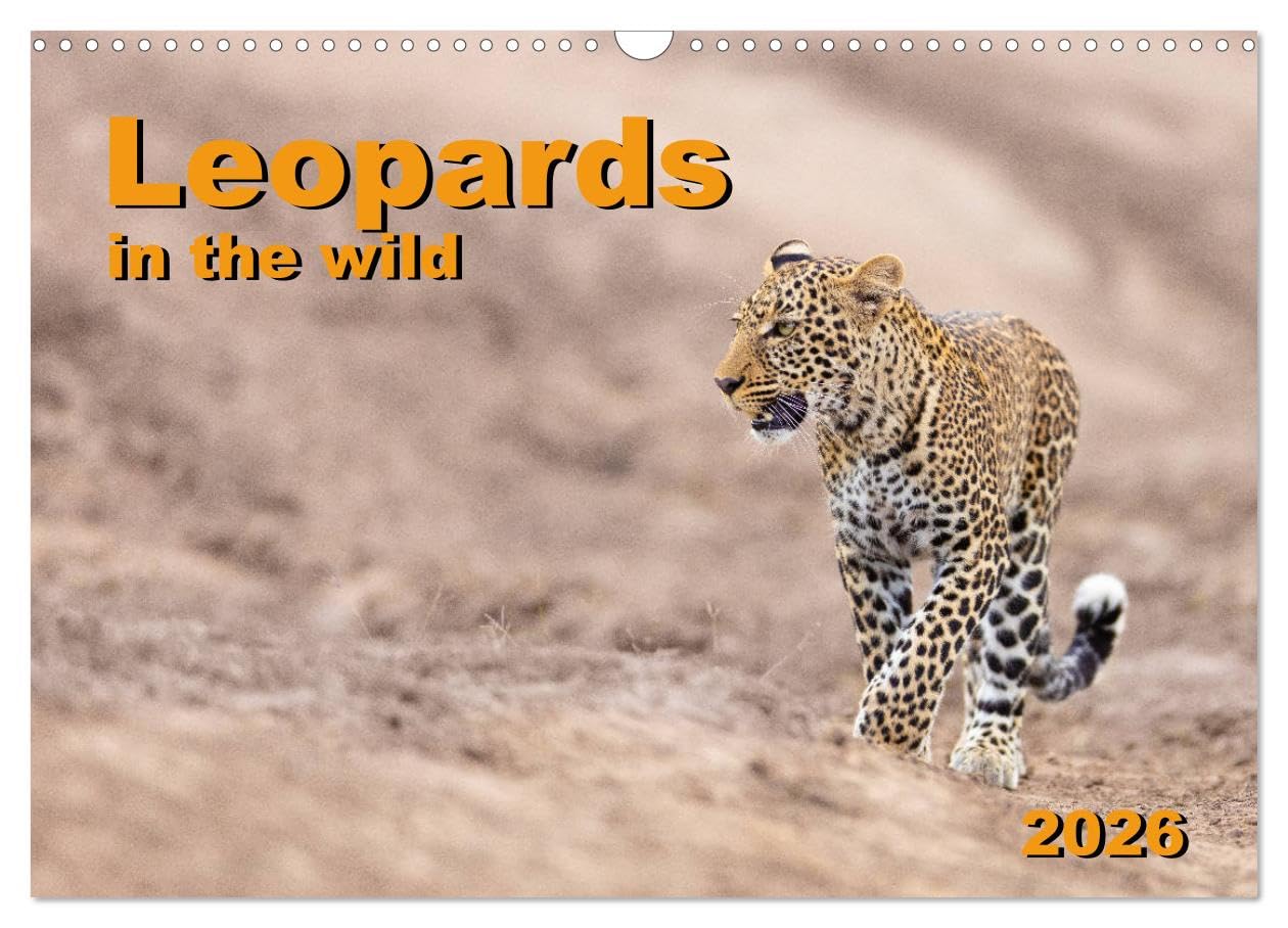 Leopards in the wild (Wall Calendar 2026 DIN A3 landscape), CALVENDO 12 Month Wall Calendar: Impressive leopard pictures from East Africa Natural Sciences