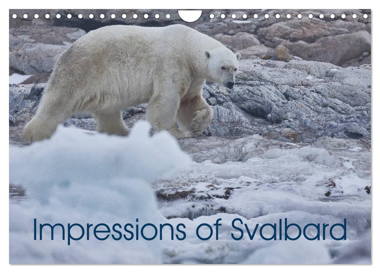 Impressions of Svalbard (Wall Calendar 2026 DIN A4 landscape), CALVENDO 12 Month Wall Calendar: Spitzbergen, Nortauslandt and Kvitoya Photography