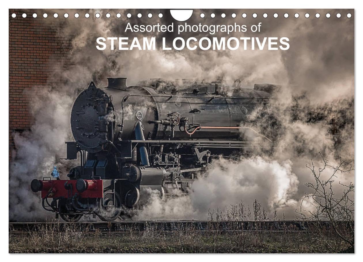 Assorted photographs of STEAM LOCOMOTIVES (Wall Calendar 2026 DIN A4 landscape), CALVENDO 12 Month Wall Calendar: Photographs of different preserved steam locomotives Books