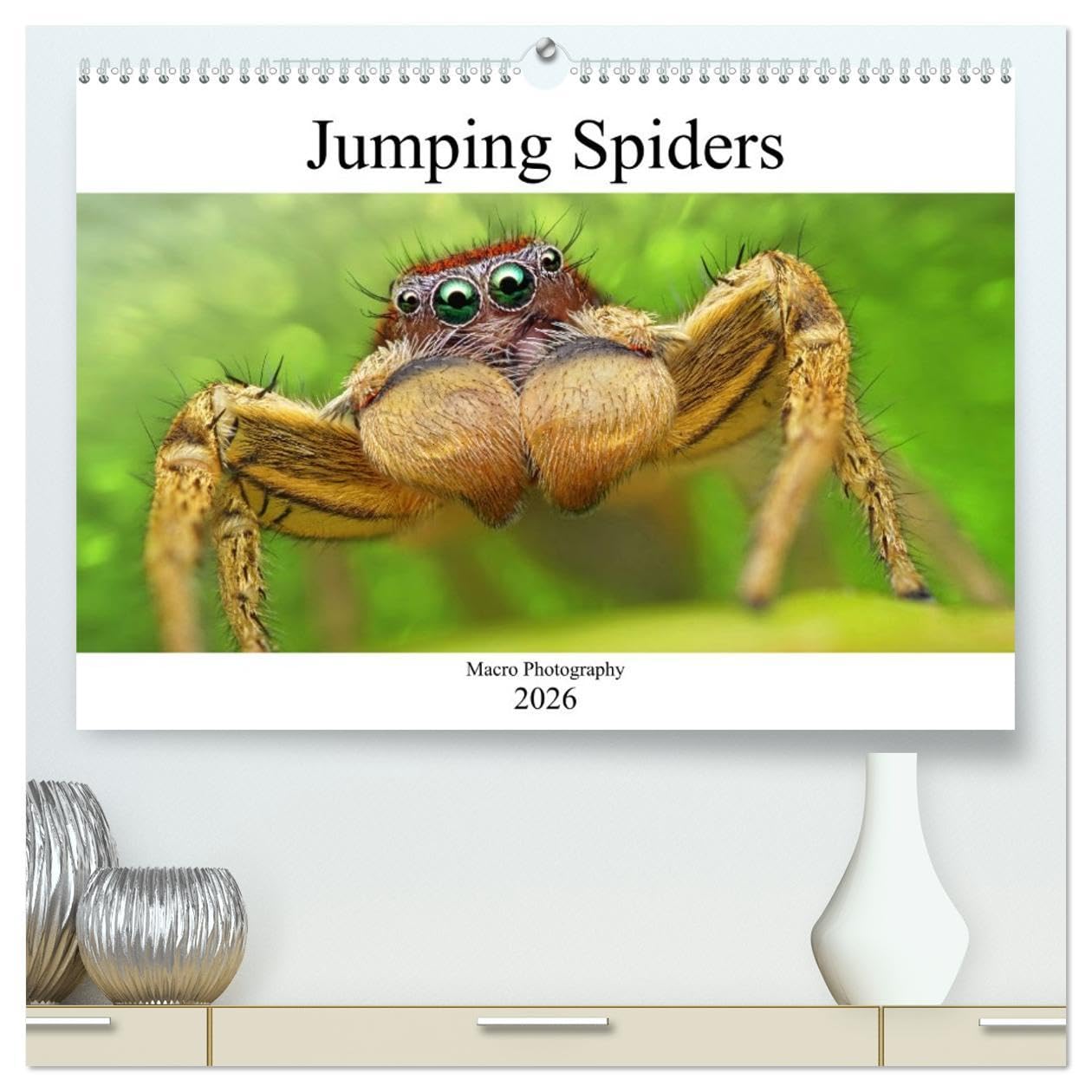 Jumping Spiders (High Quality Premium Wall Calendar 2026 DIN A2 landscape),CALVENDO 12 Month Wall Calendar: Macro Photography Natural Sciences