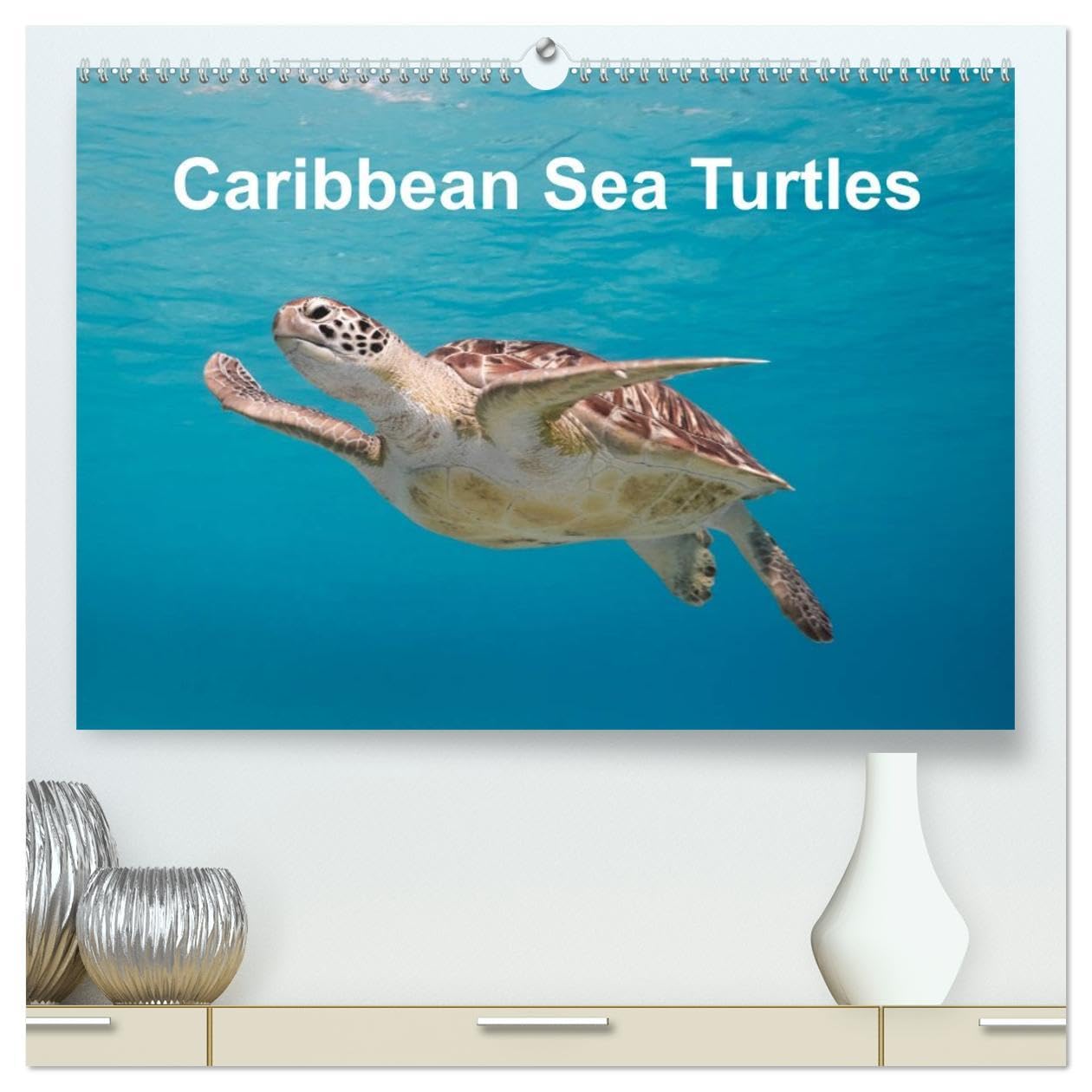 Caribbean Sea Turtles (High Quality Premium Wall Calendar 2026 DIN A2 landscape),CALVENDO 12 Month Wall Calendar: Magical encounter with sea turtles! Natural Sciences