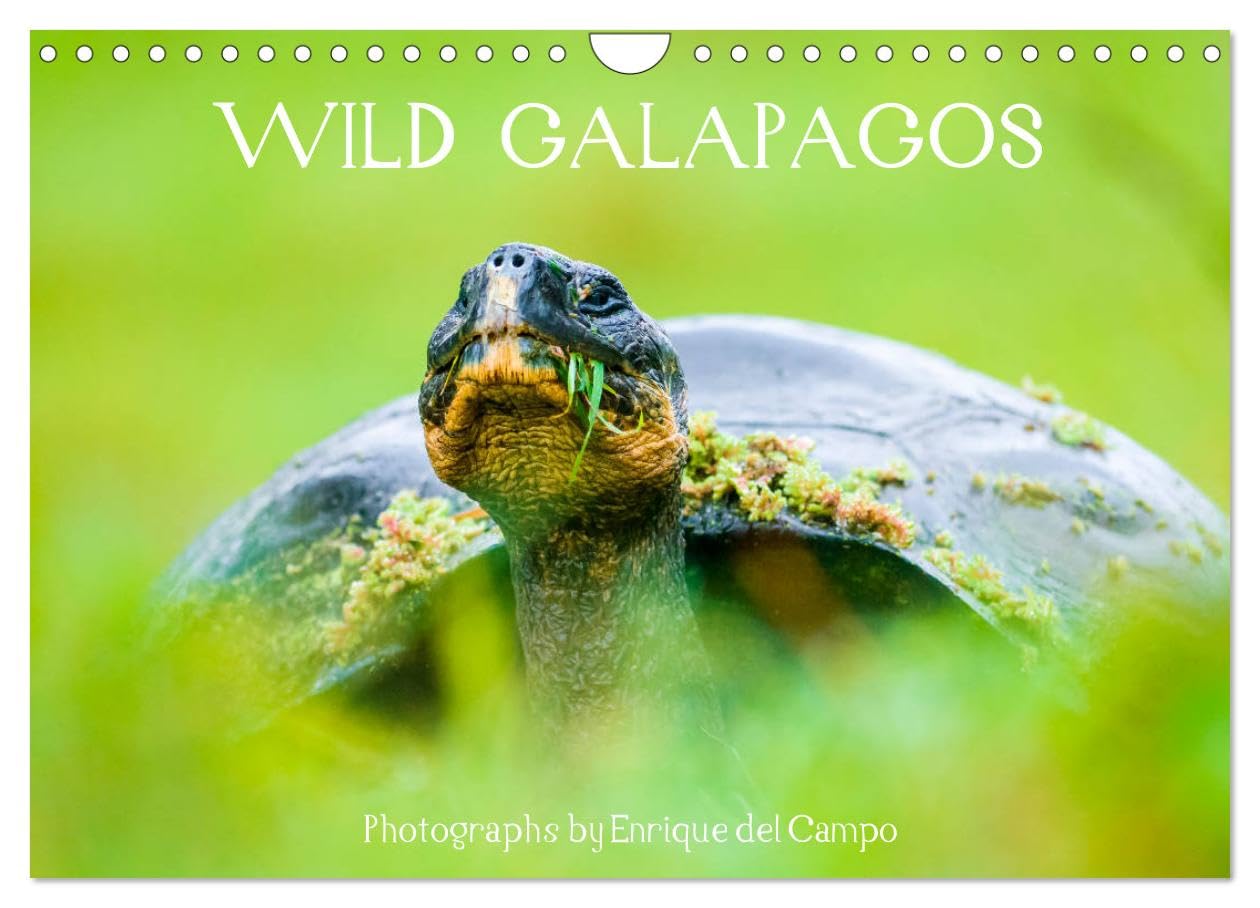 WILD GALAPAGOS (Wall Calendar 2026 DIN A4 landscape), CALVENDO 12 Month Wall Calendar: Evocative images of wildlife in the Galapagos Islands, Ecuador. Natural Sciences