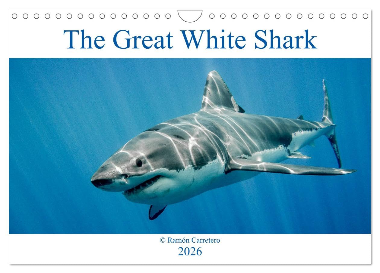 The Great White Shark: King of the Ocean (Wall Calendar 2026 DIN A4 landscape), CALVENDO 12 Month Wall Calendar: The great white shark: king of the ocean Business & Technology