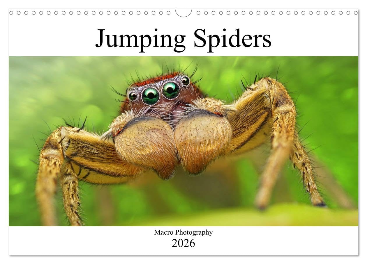 Jumping Spiders (Wall Calendar 2026 DIN A3 landscape), CALVENDO 12 Month Wall Calendar: Macro Photography Natural Sciences