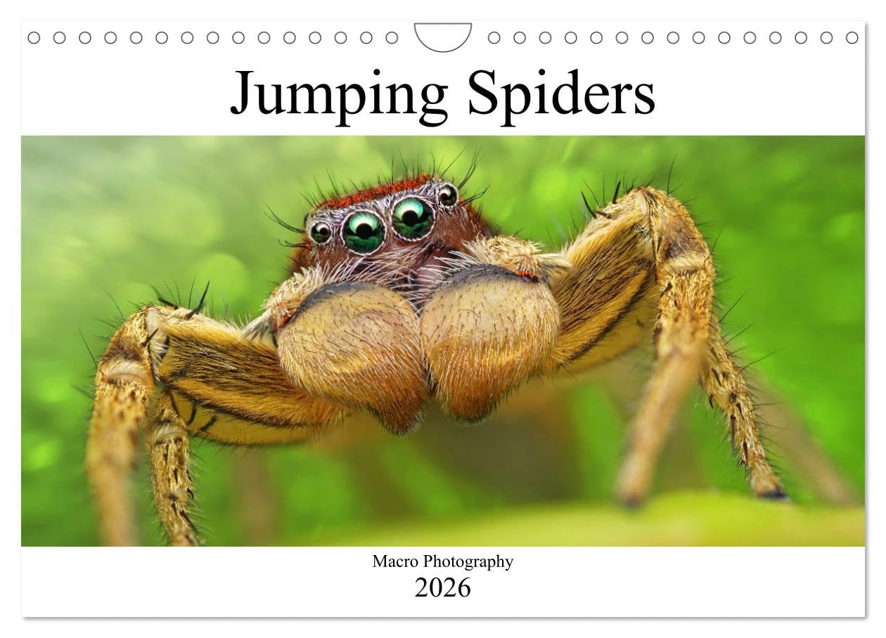 Jumping Spiders (Wall Calendar 2026 DIN A4 landscape), CALVENDO 12 Month Wall Calendar: Macro Photography Natural Sciences