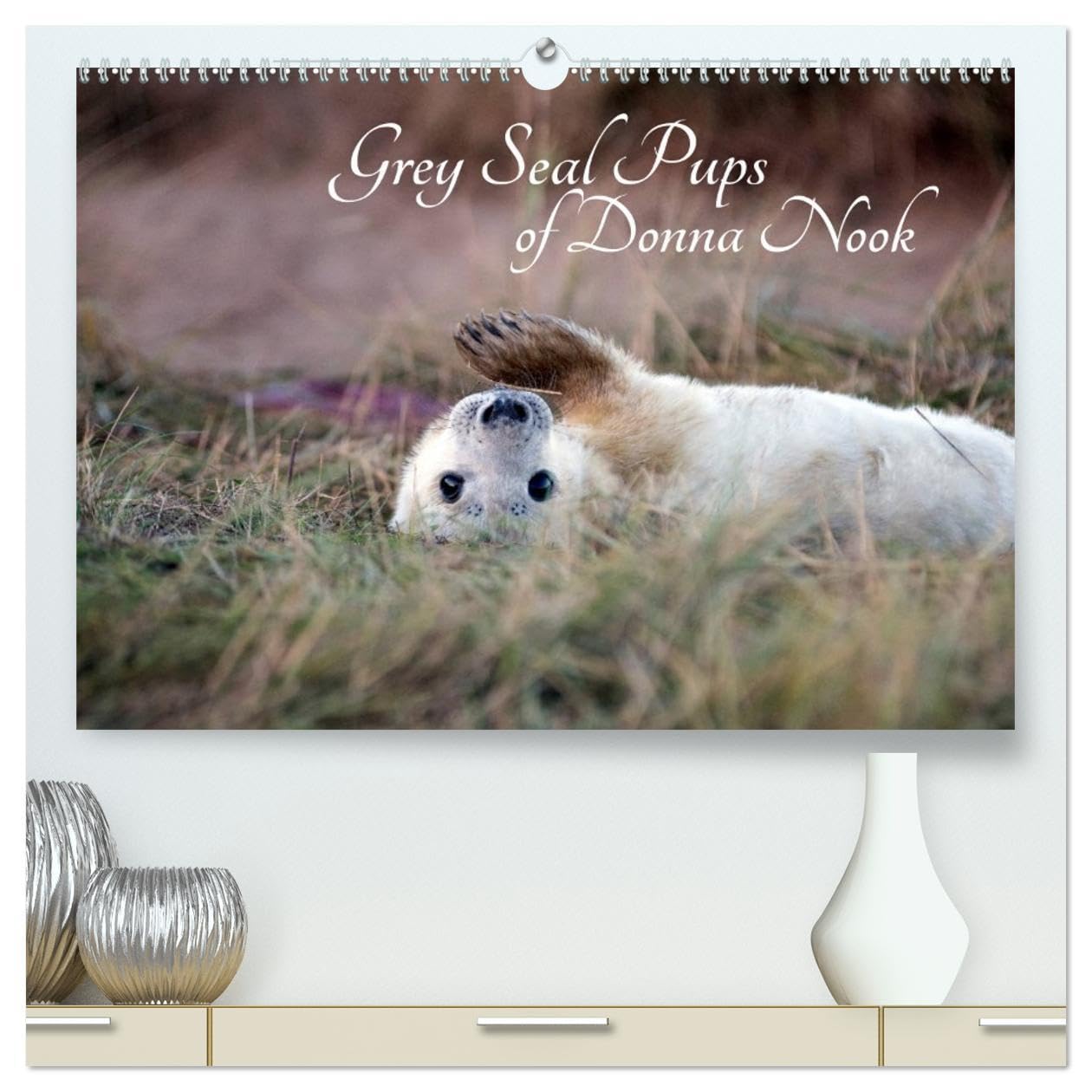 Grey Seal Pups of Donna Nook (High Quality Premium Wall Calendar 2026 DIN A2 landscape),CALVENDO 12 Month Wall Calendar: New borns and week old seal pups Natural Sciences