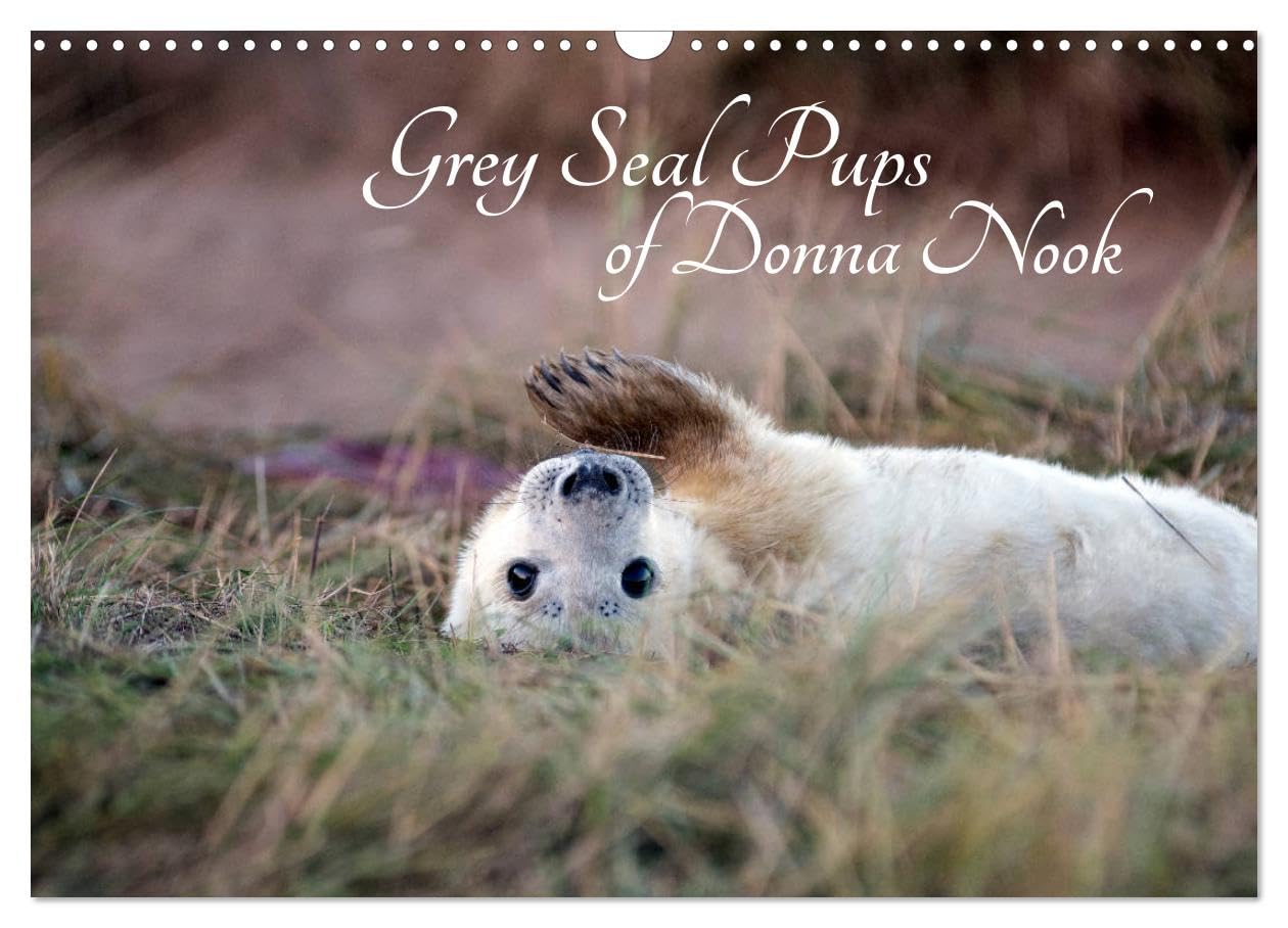 Grey Seal Pups of Donna Nook (Wall Calendar 2026 DIN A3 landscape), CALVENDO 12 Month Wall Calendar: New borns and week old seal pups Natural Sciences