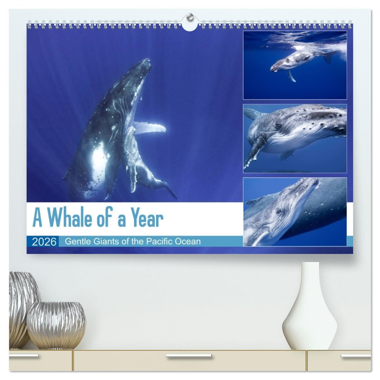 A Whale of a Year (High Quality Premium Wall Calendar 2026 DIN A2 landscape),CALVENDO 12 Month Wall Calendar: Dive into the magnificent underwater world of the gracious humpback whales. Social Sciences