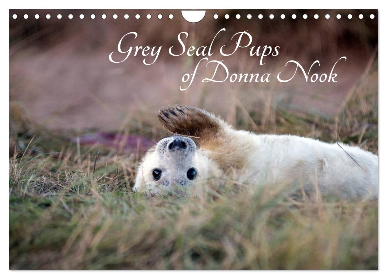 Grey Seal Pups of Donna Nook (Wall Calendar 2026 DIN A4 landscape), CALVENDO 12 Month Wall Calendar: New borns and week old seal pups Natural Sciences
