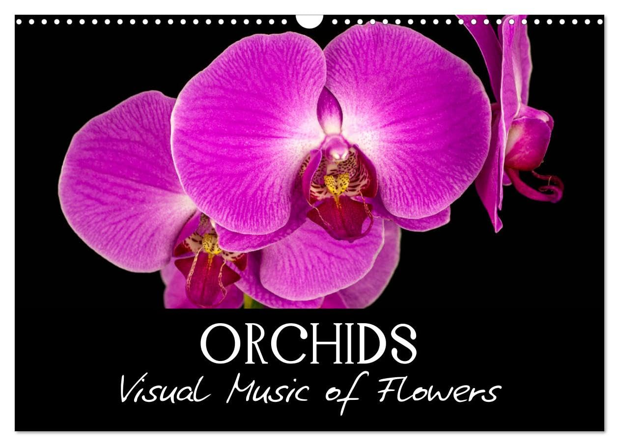 Orchids (Wall Calendar 2026 DIN A3 landscape), CALVENDO 12 Month Wall Calendar: Visual Music of Flowers Social Sciences