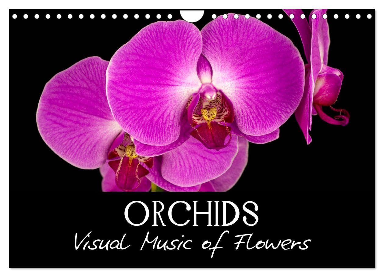Orchids (Wall Calendar 2026 DIN A4 landscape), CALVENDO 12 Month Wall Calendar: Visual Music of Flowers Social Sciences