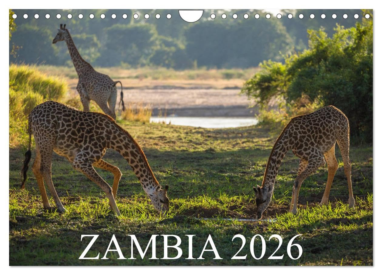 Zambia (Wall Calendar 2026 DIN A4 landscape), CALVENDO 12 Month Wall Calendar: Wilderness between Zambezi, Luangwa Valley and Victoria Falls Film, Art & Culture