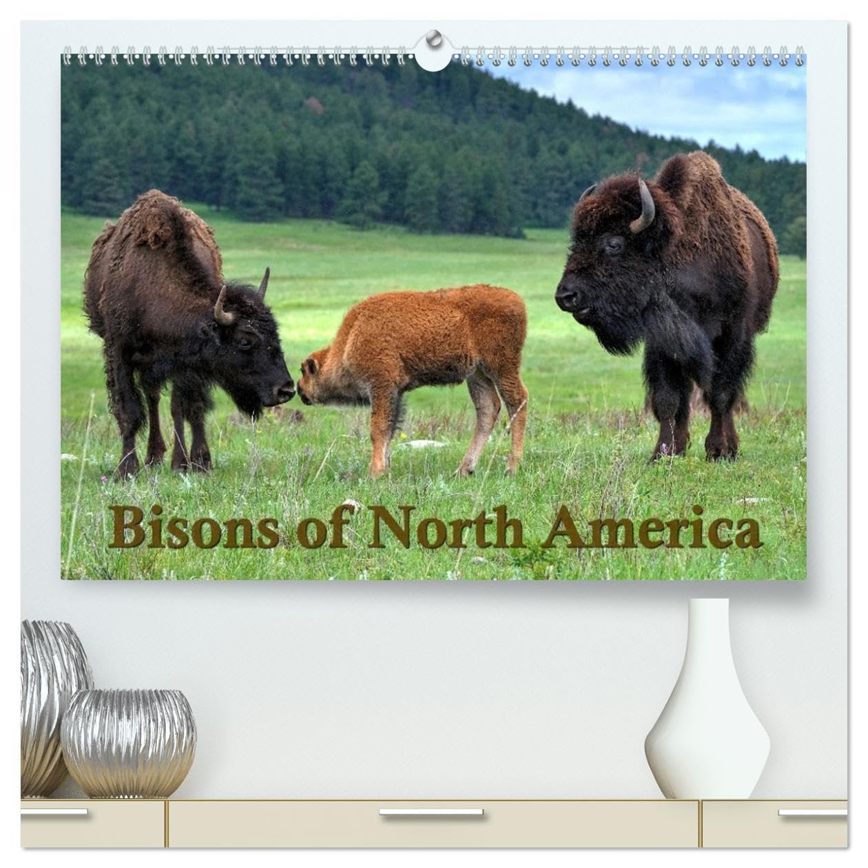 Bisons of North America (High Quality Premium Wall Calendar 2026 DIN A2 landscape),CALVENDO 12 Month Wall Calendar: The Bison or Indian buffalo is the ... the plains and prairies of the American West. Natural Sciences