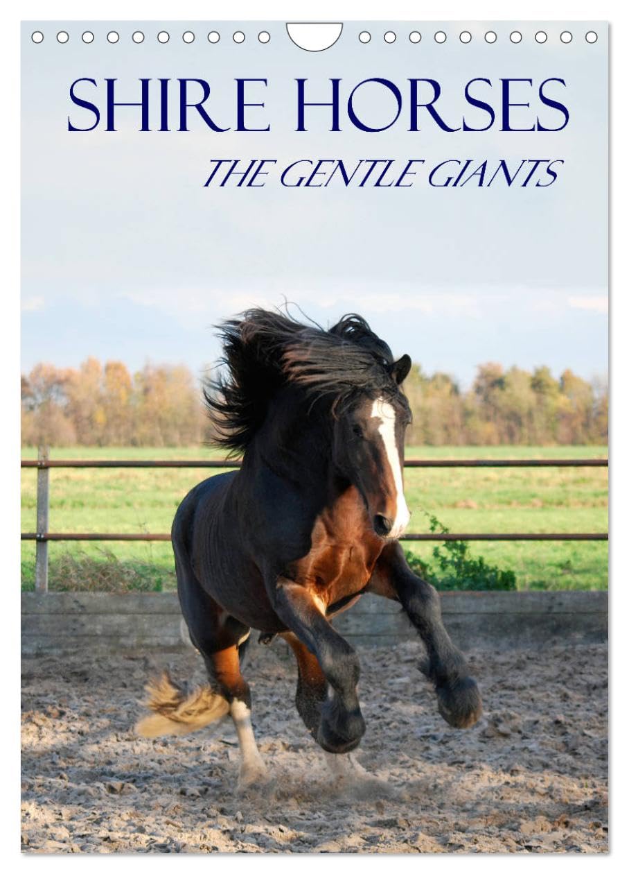 Shire Horses The Gentle Giants (Wall Calendar 2026 DIN A4 portrait), CALVENDO 12 Month Wall Calendar: The tallest horse breed in the world in action and detail Natural Sciences