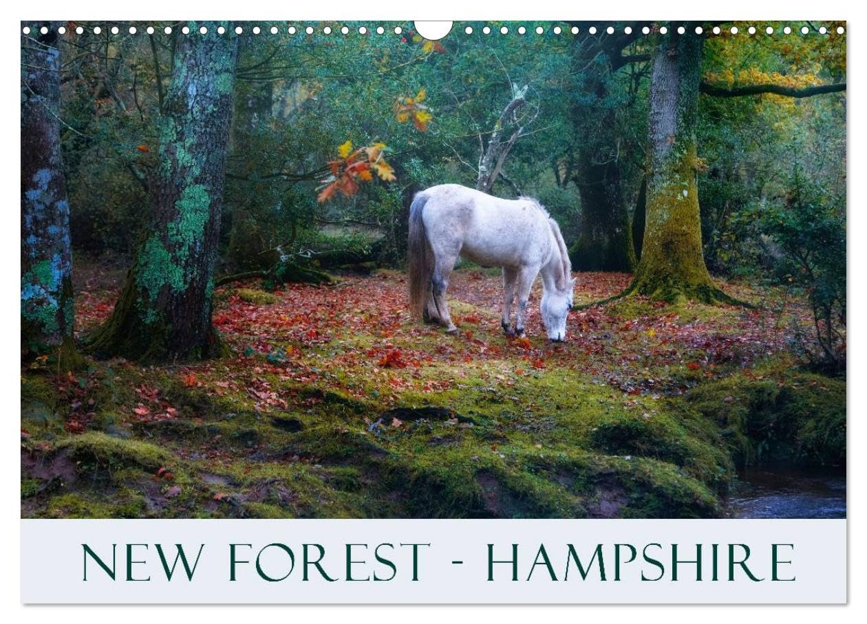 New Forest Hampshire (Wall Calendar 2026 DIN A3 landscape), CALVENDO 12 Month Wall Calendar: The New Forest in Hampshire with its heath and wild ponies is one of the most beautiful areas in England Leisure, Home & Garden