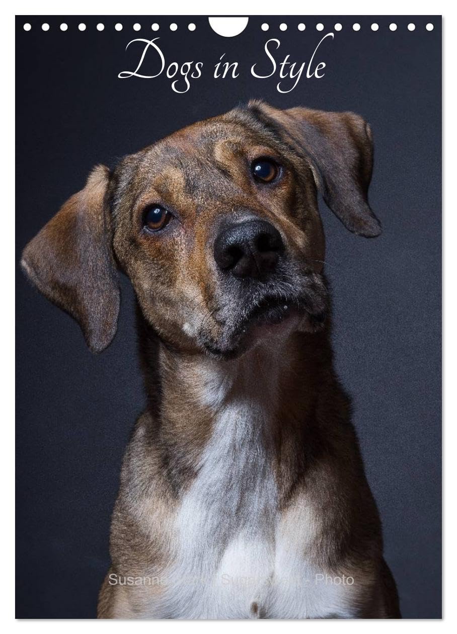 Dogs in Style (Wall Calendar 2026 DIN A4 portrait), CALVENDO 12 Month Wall Calendar: Portraits of beautiful dogs Natural Sciences