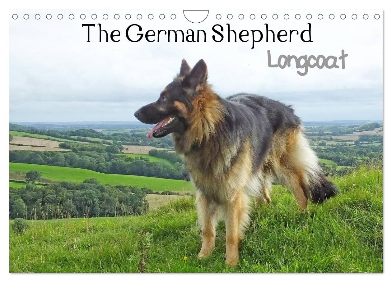 The German Shepherd Longcoat (Wall Calendar 2026 DIN A4 landscape), CALVENDO 12 Month Wall Calendar: Longcoat German Shepherd in natural surroundings. Natural Sciences