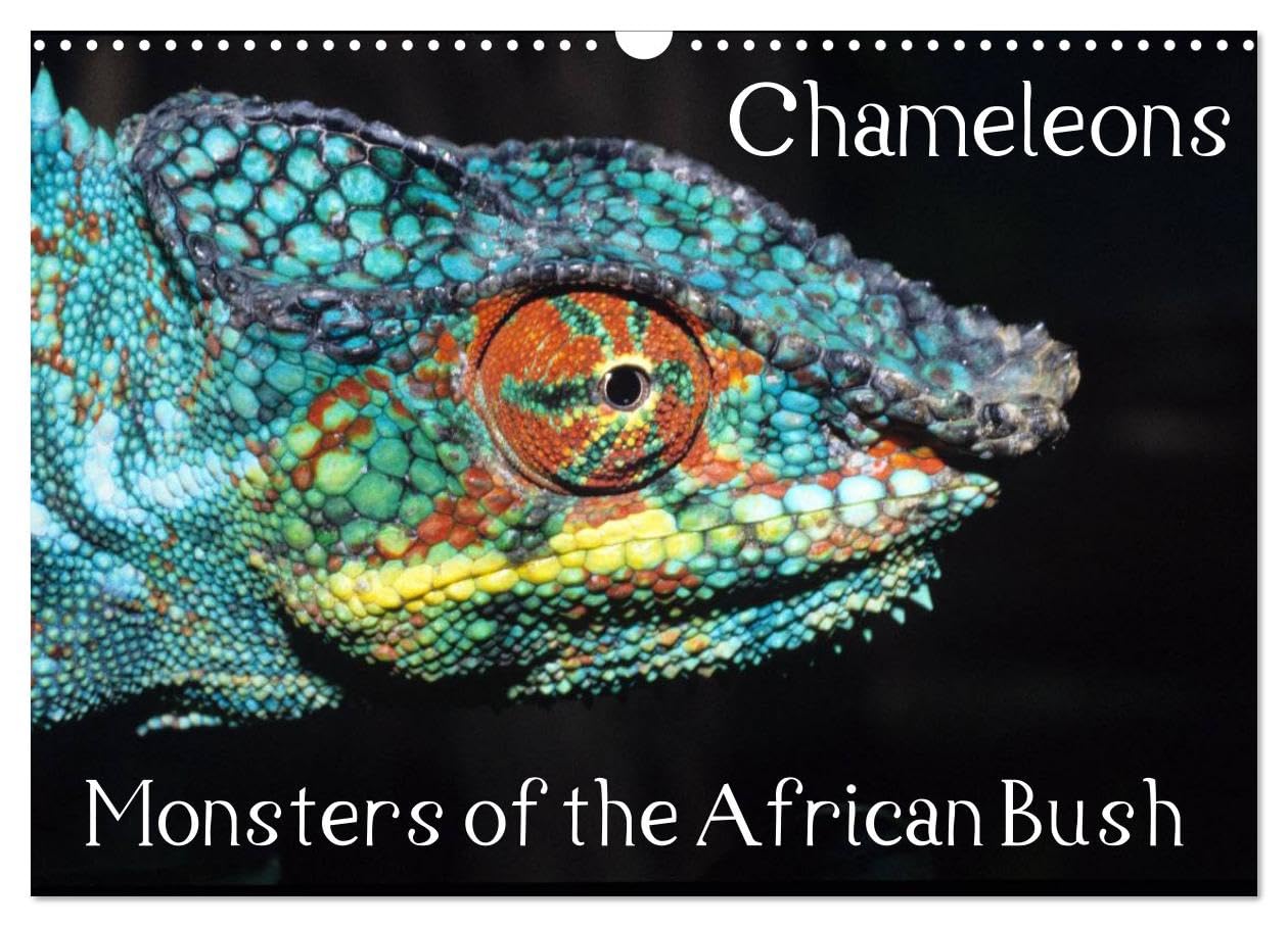 Chameleons Monsters of the African Bush (Wall Calendar 2026 DIN A3 landscape), CALVENDO 12 Month Wall Calendar: Striking Chameleon Portraits Natural Sciences