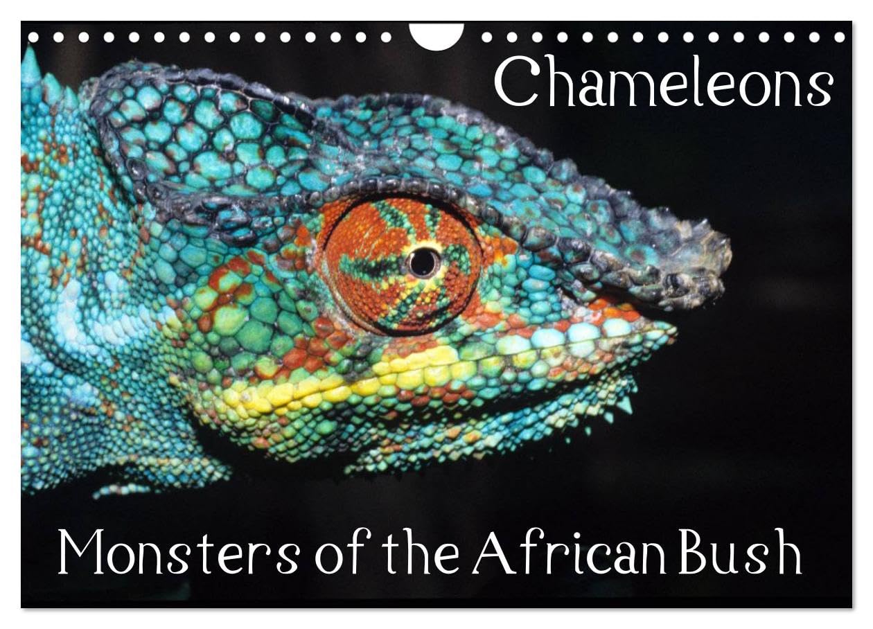 Chameleons Monsters of the African Bush (Wall Calendar 2026 DIN A4 landscape), CALVENDO 12 Month Wall Calendar: Striking Chameleon Portraits Natural Sciences