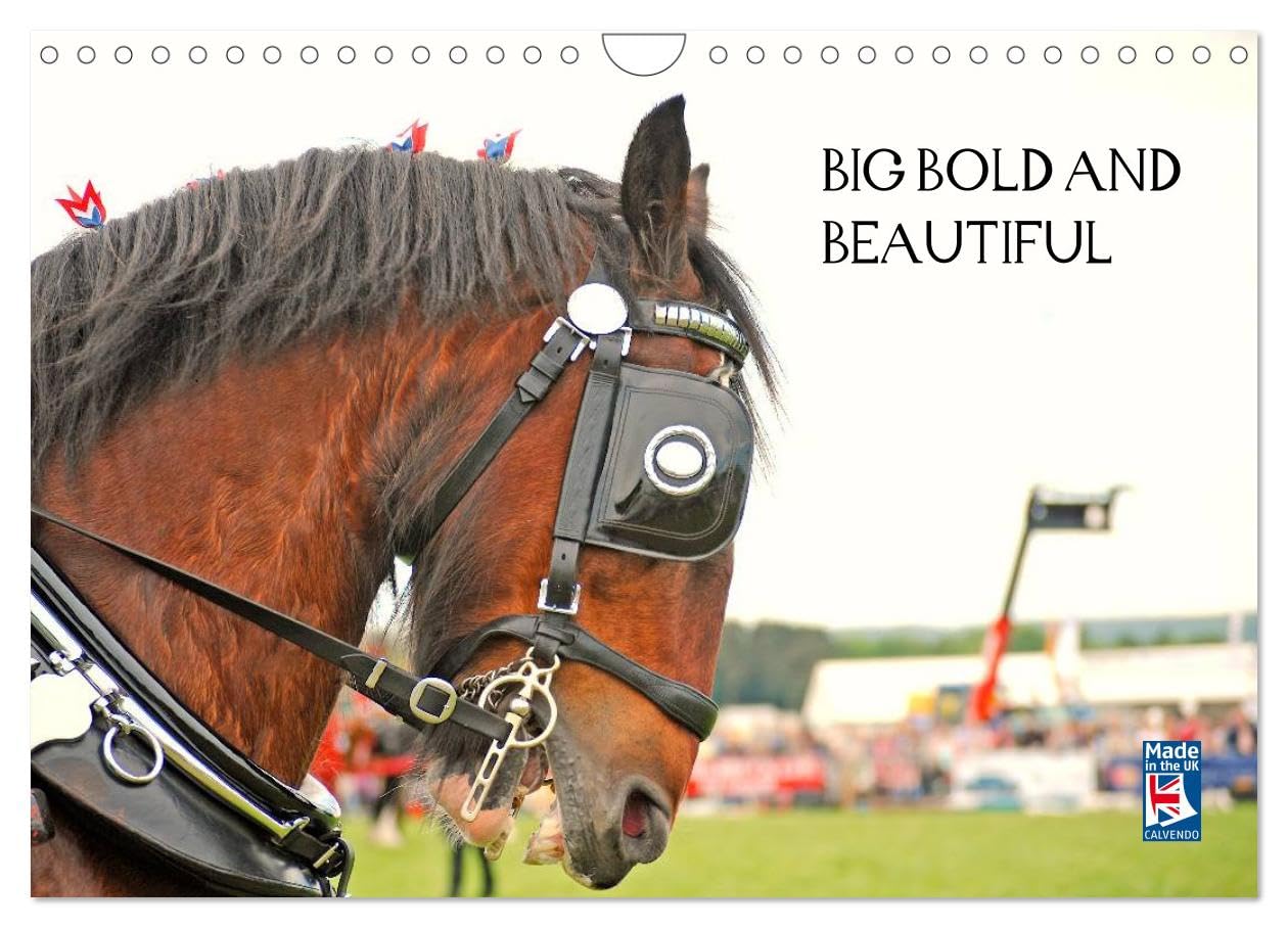 BIG BOLD AND BEAUTIFUL (Wall Calendar 2026 DIN A4 landscape), CALVENDO 12 Month Wall Calendar: The Essential Heavy Horse Natural Sciences