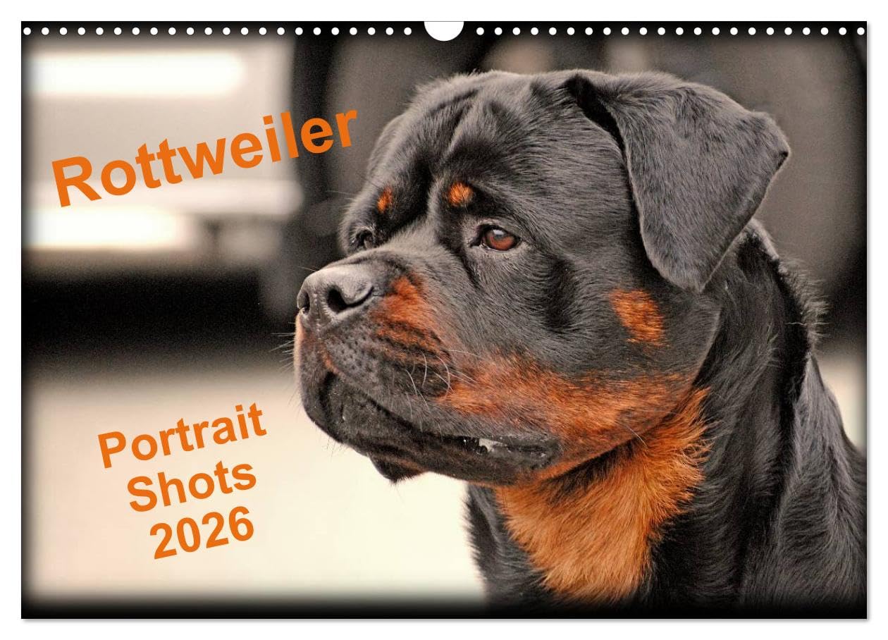 Rottweiler Portait Shots 2026 (Wall Calendar 2026 DIN A3 landscape), CALVENDO 12 Month Wall Calendar: Rottweiler Portrait Head Shots Natural Sciences