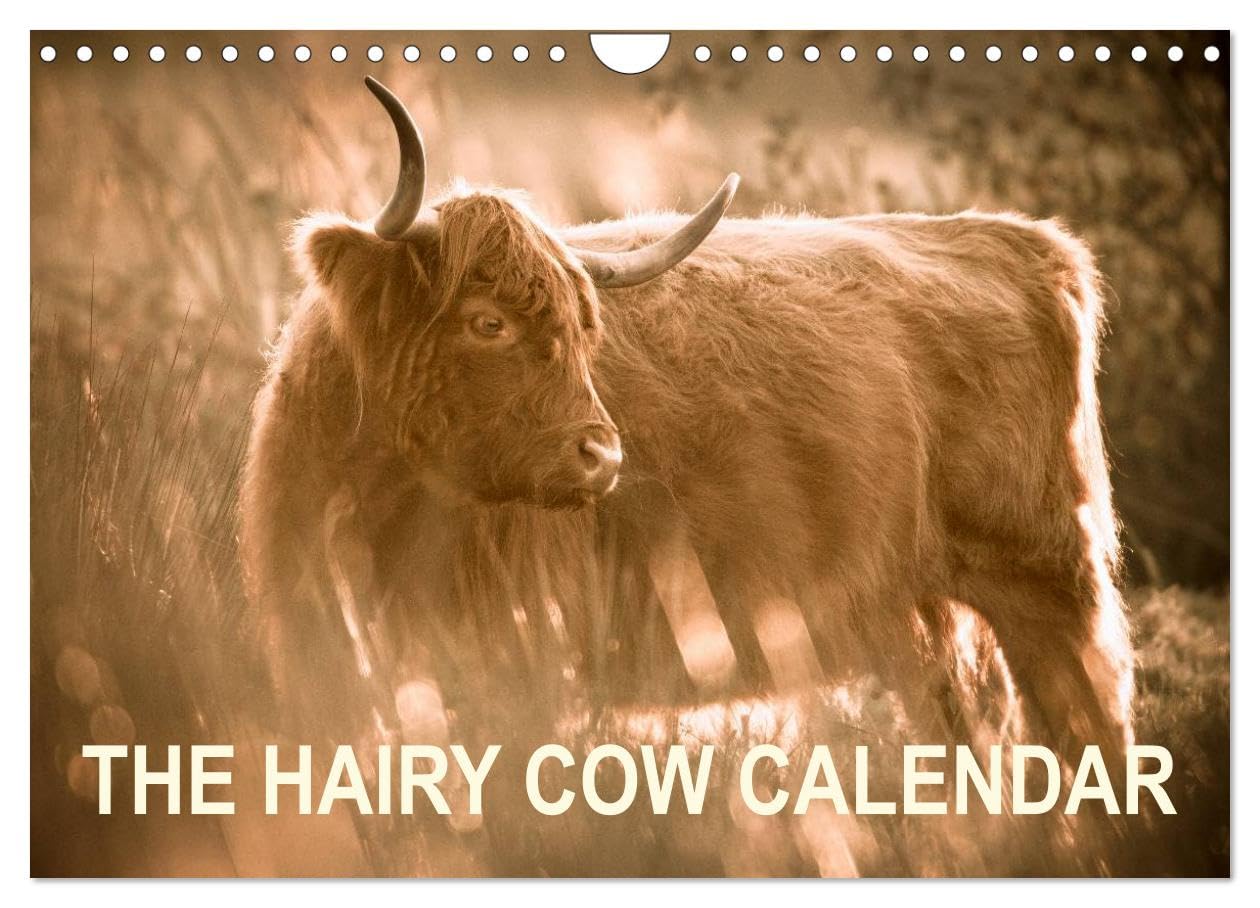 The Hairy Cow Calendar (Wall Calendar 2026 DIN A4 landscape), CALVENDO 12 Month Wall Calendar: Evocative images of Highland Cattle on Norfolk grazing marshes Film, Art & Culture