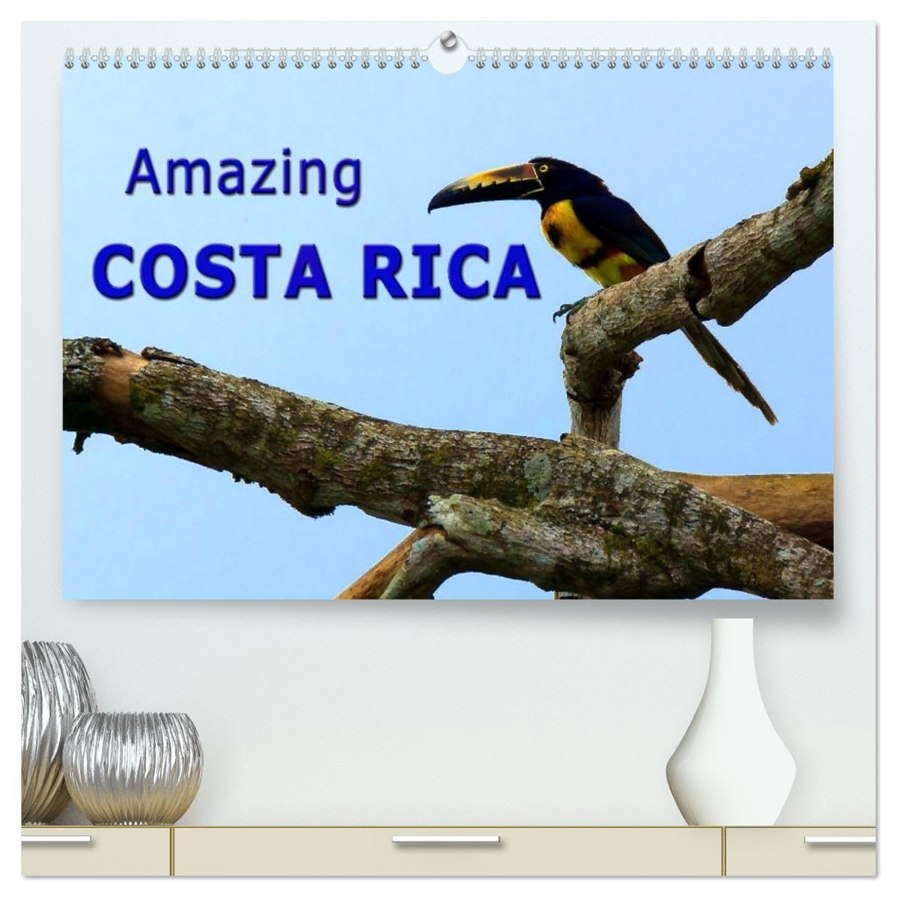 Amazing Costa Rica (High Quality Premium Wall Calendar 2026 DIN A2 landscape),CALVENDO 12 Month Wall Calendar: Amazing wildlife in Costa Rica, the destination for nature lovers Film, Art & Culture