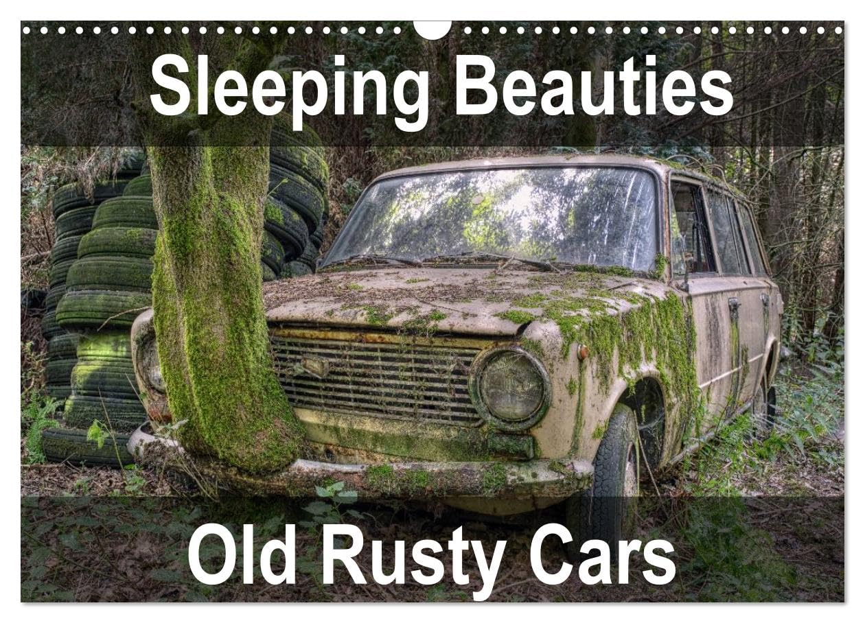 Sleeping Beauties Old Rusty Cars (Wall Calendar 2026 DIN A3 landscape), CALVENDO 12 Month Wall Calendar: Old, rusty, abandoned classic cars Leisure, Home & Garden