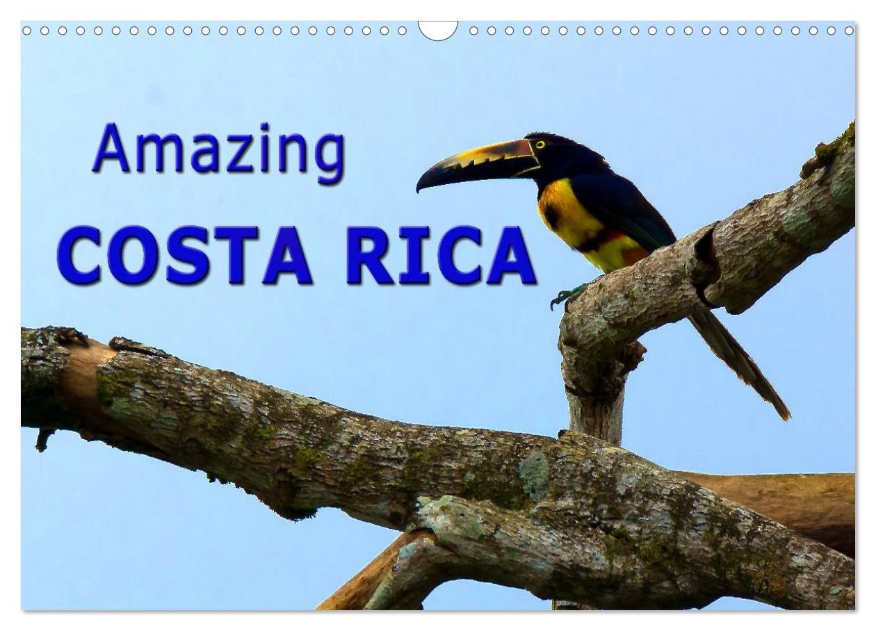 Amazing Costa Rica (Wall Calendar 2026 DIN A3 landscape), CALVENDO 12 Month Wall Calendar: Amazing wildlife in Costa Rica, the destination for nature lovers Film, Art & Culture