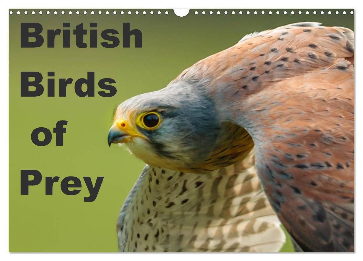 British Birds of Prey (Wall Calendar 2026 DIN A3 landscape), CALVENDO 12 Month Wall Calendar: Birds of Prey found in the United Kingdom Natural Sciences