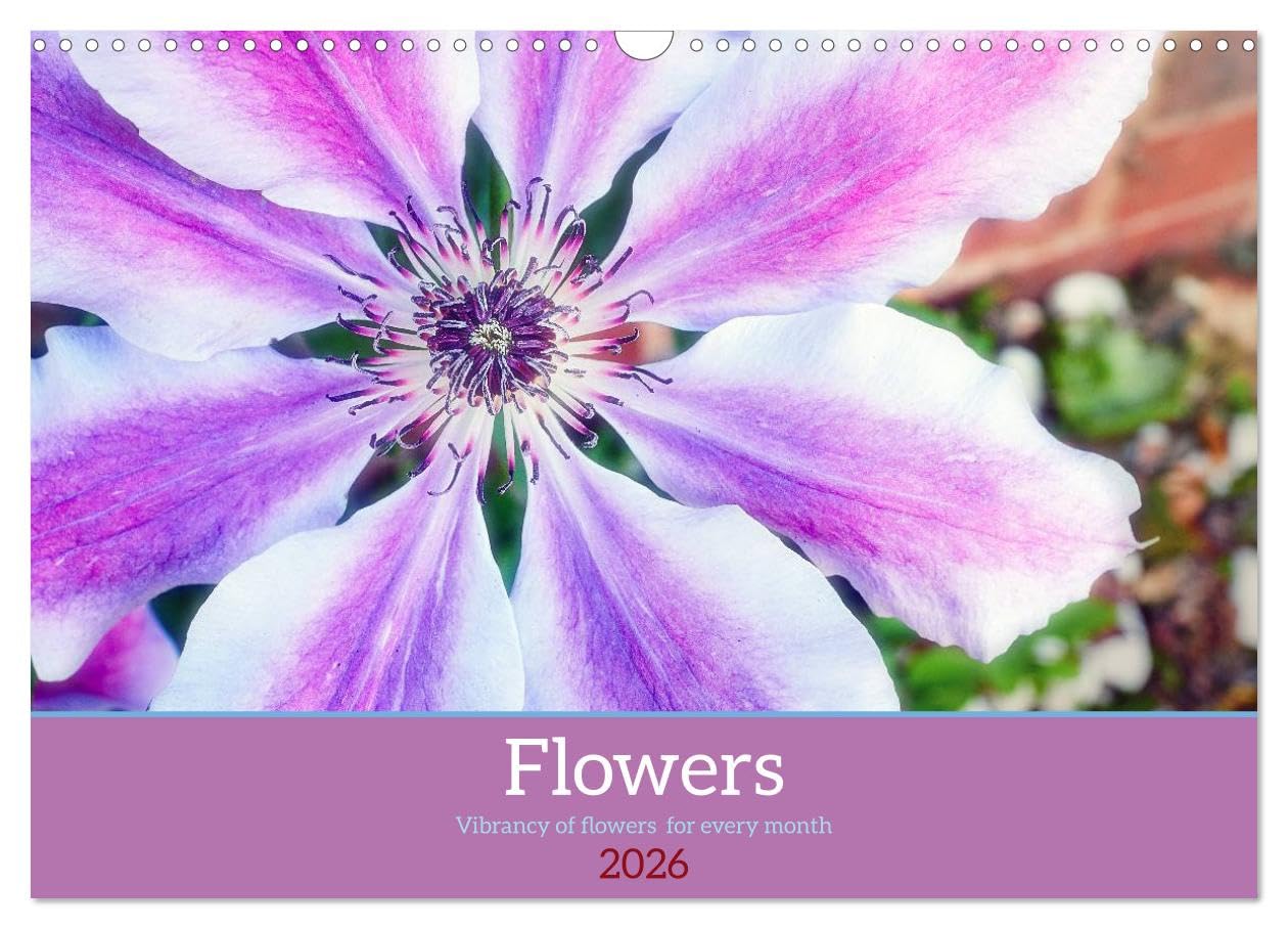 Vibrancy of flowers (Wall Calendar 2026 DIN A3 landscape), CALVENDO 12 Month Wall Calendar: Vibrancy of flowers for every month Leisure, Home & Garden