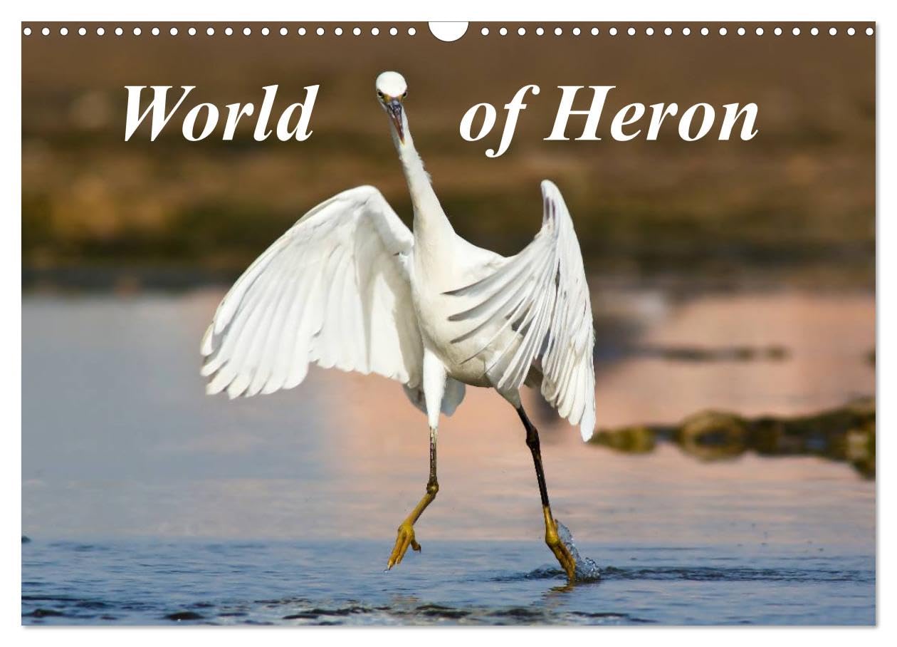 World of Heron (Wall Calendar 2026 DIN A3 landscape), CALVENDO 12 Month Wall Calendar: The most common herons from all around the world. Natural Sciences