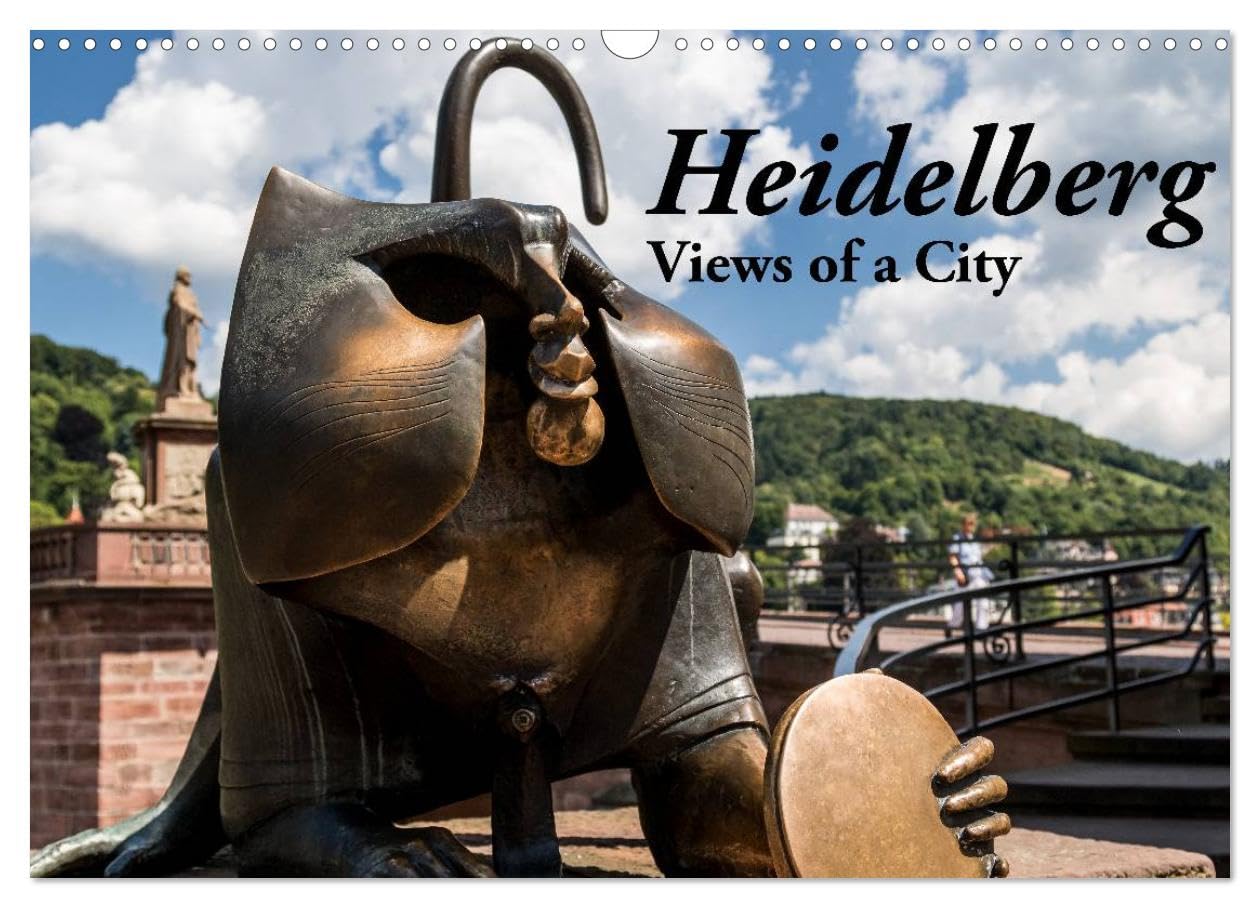 Heidelberg - Views of a City (Wall Calendar 2026 DIN A3 landscape), CALVENDO 12 Month Wall Calendar: Views of the romantic city at the river Neckar Leisure, Home & Garden