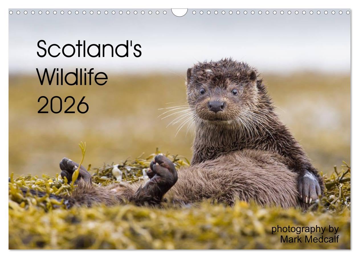 Scotland's Wildlife 2026 (Wall Calendar 2026 DIN A3 landscape), CALVENDO 12 Month Wall Calendar: The best of Scotland's iconic wildlife Natural Sciences
