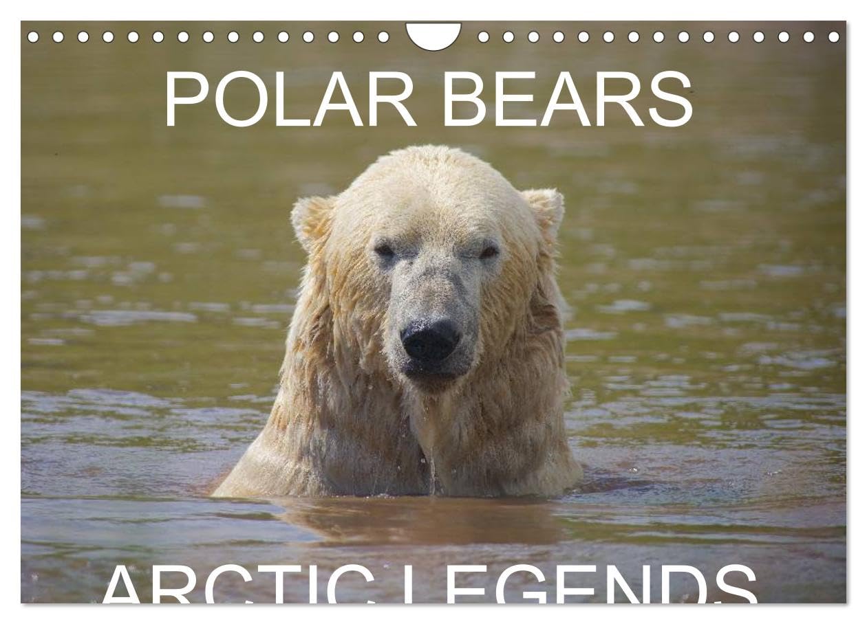 POLAR BEARS - ARCTIC LEGENDS (Wall Calendar 2026 DIN A4 landscape), CALVENDO 12 Month Wall Calendar: 2 Male Polar Bears compete in a test of strength. Leisure, Home & Garden