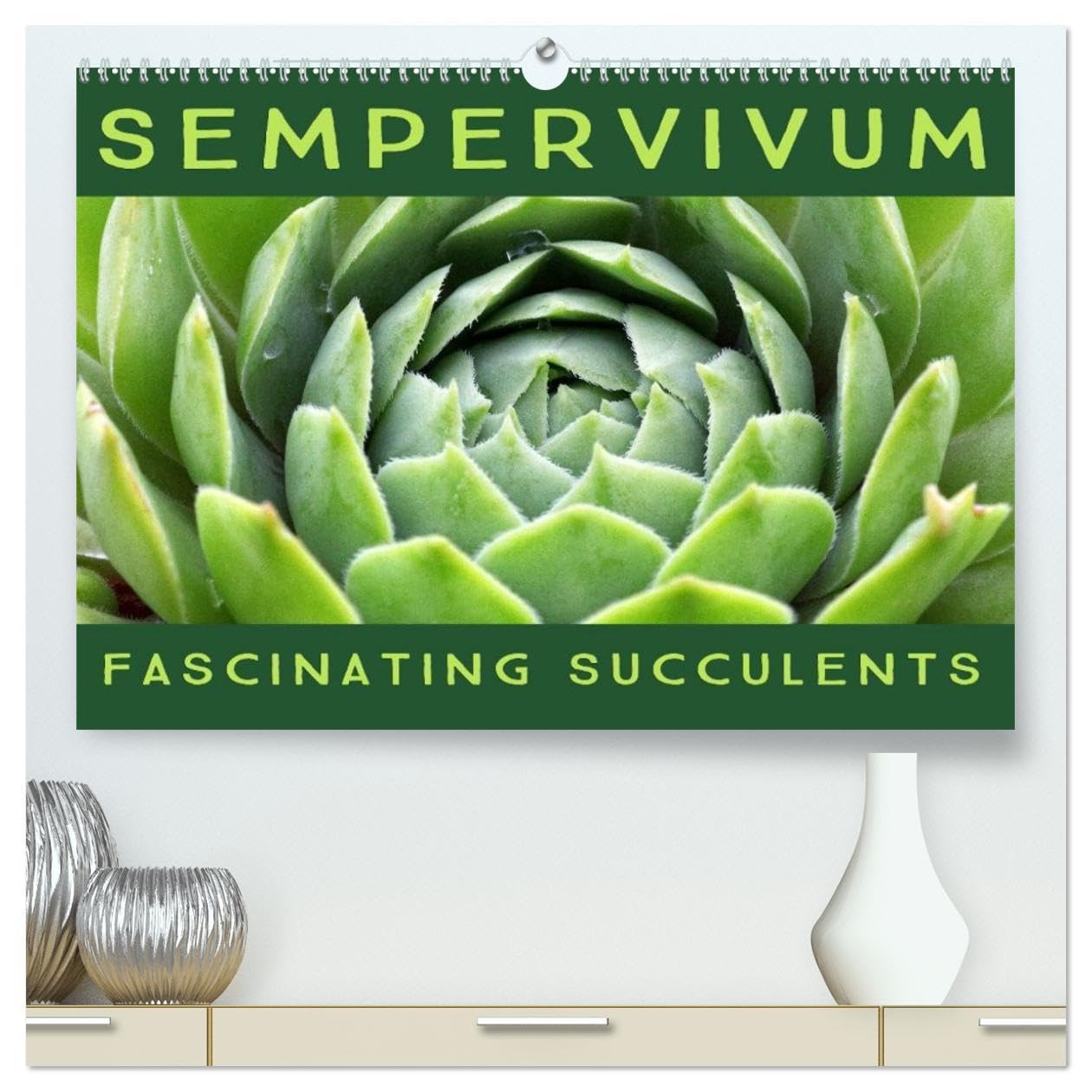 Sempervivum Fascinating Succulents (High Quality Premium Wall Calendar 2026 DIN A2 landscape),CALVENDO 12 Month Wall Calendar: Sempervivum, 12 wonderful portraits of the fascinating succulents Leisure, Home & Garden
