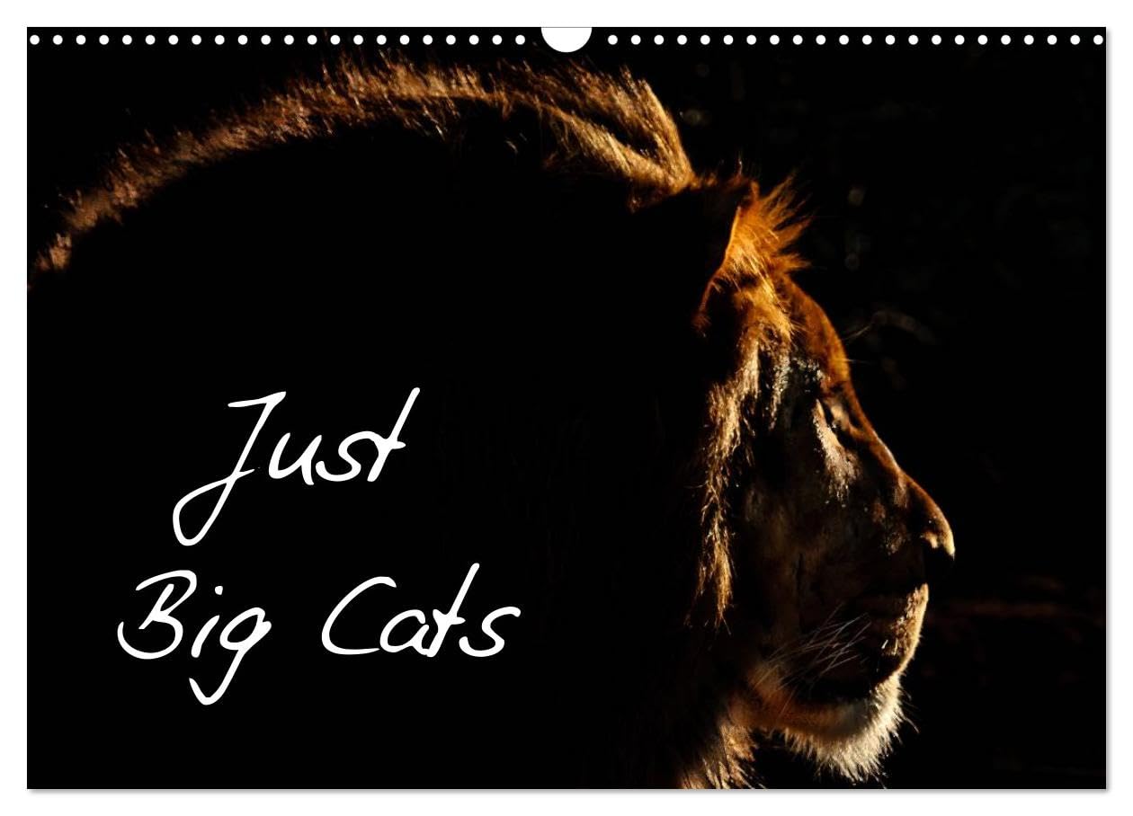 Just Big Cats (Wall Calendar 2026 DIN A3 landscape), CALVENDO 12 Month Wall Calendar: Magnificent Felines from Around the World Natural Sciences